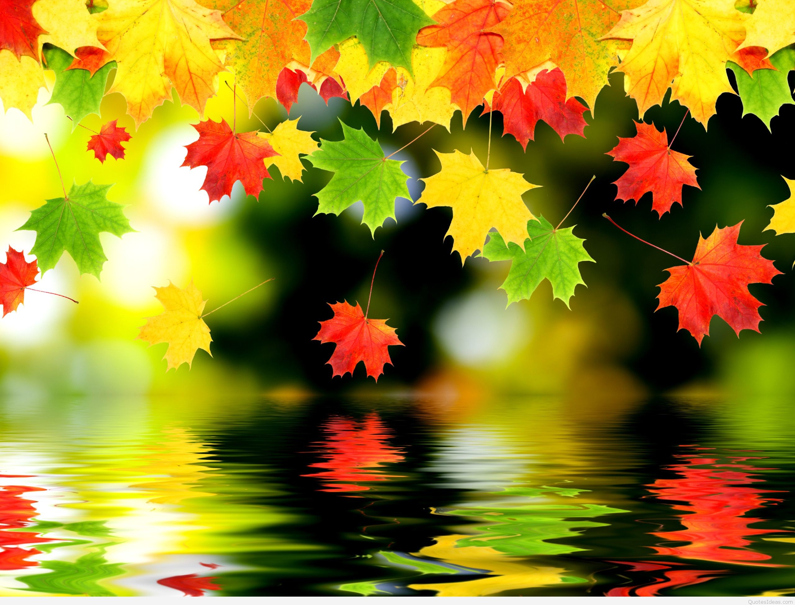 2560x1947 Autumn Wallpapers HD Desktop Backgrounds Images and Pictures