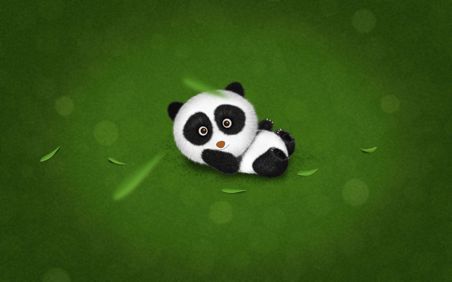 1920x1200 Cute Baby Panda wallpaper - 1264286