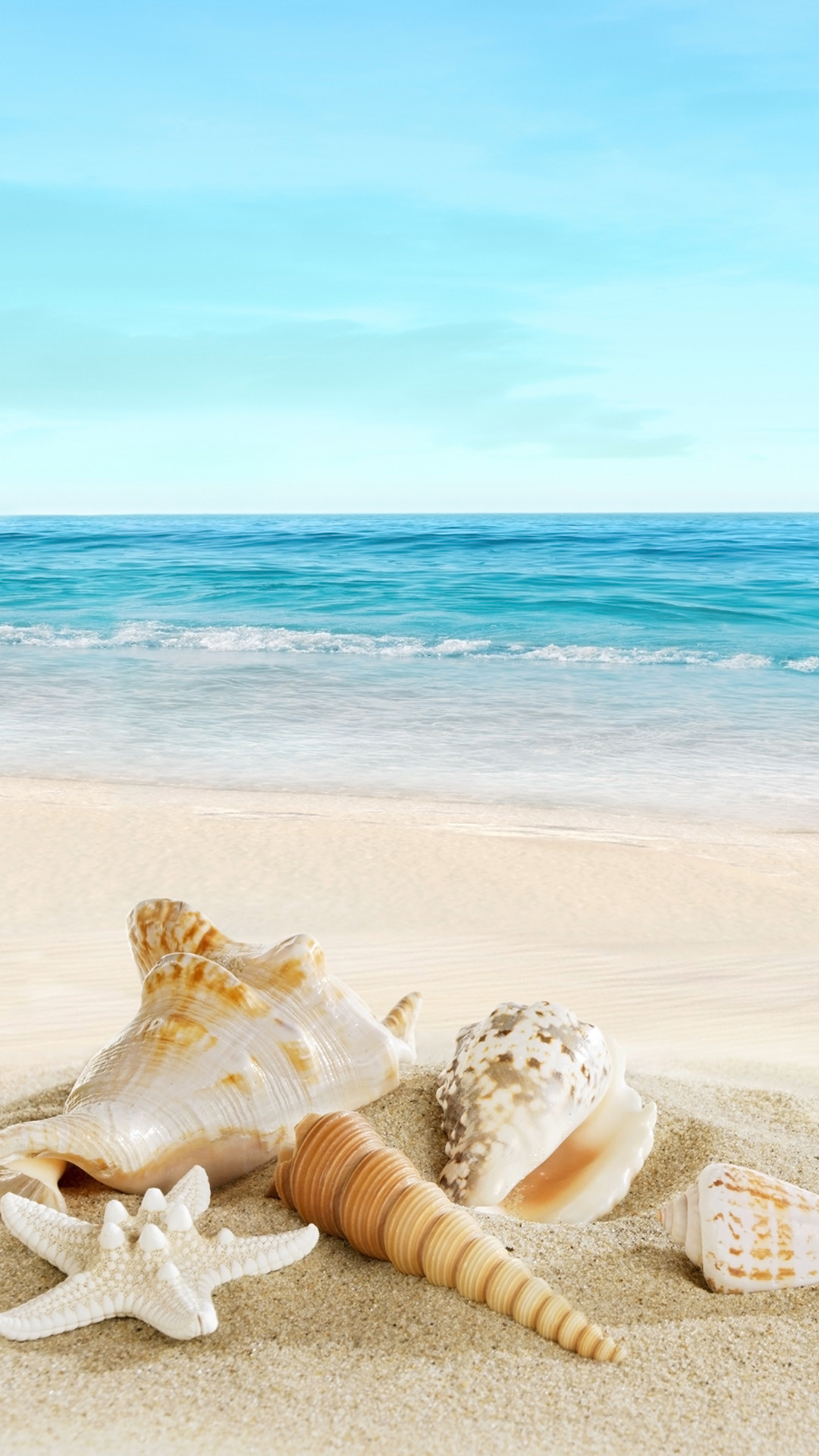 1080x1920 Landscape with shells on tropical beach