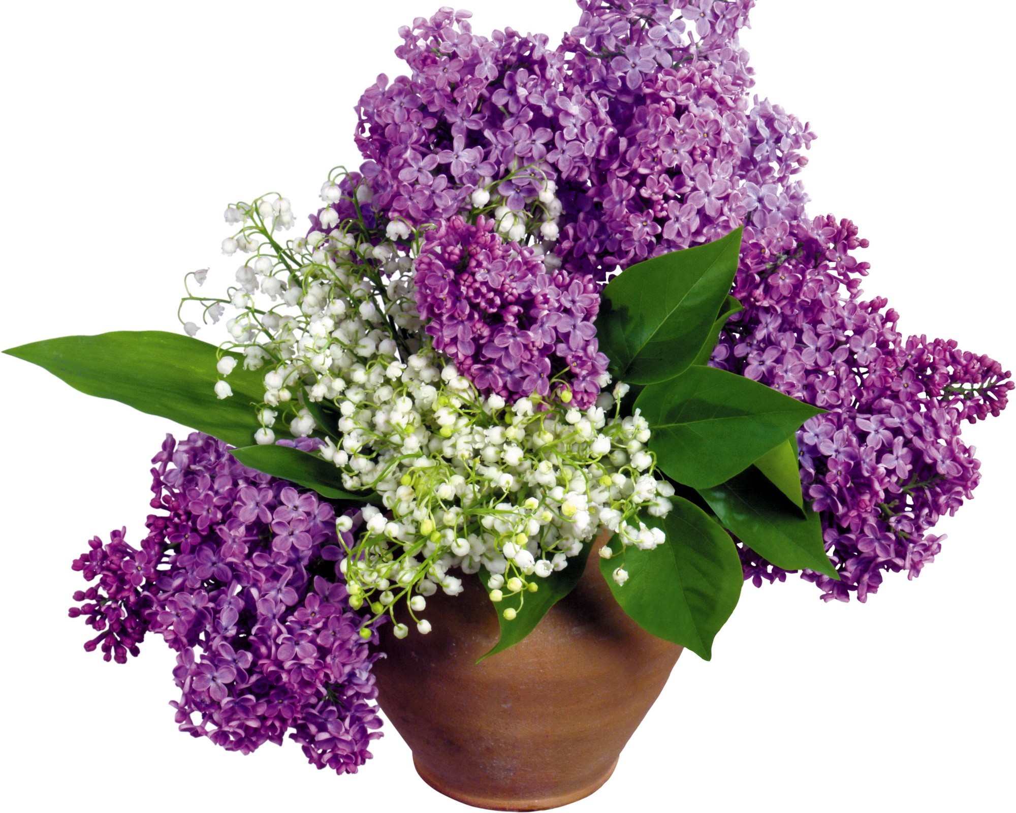 2000x1600 Lilac and white flowers wallpaper