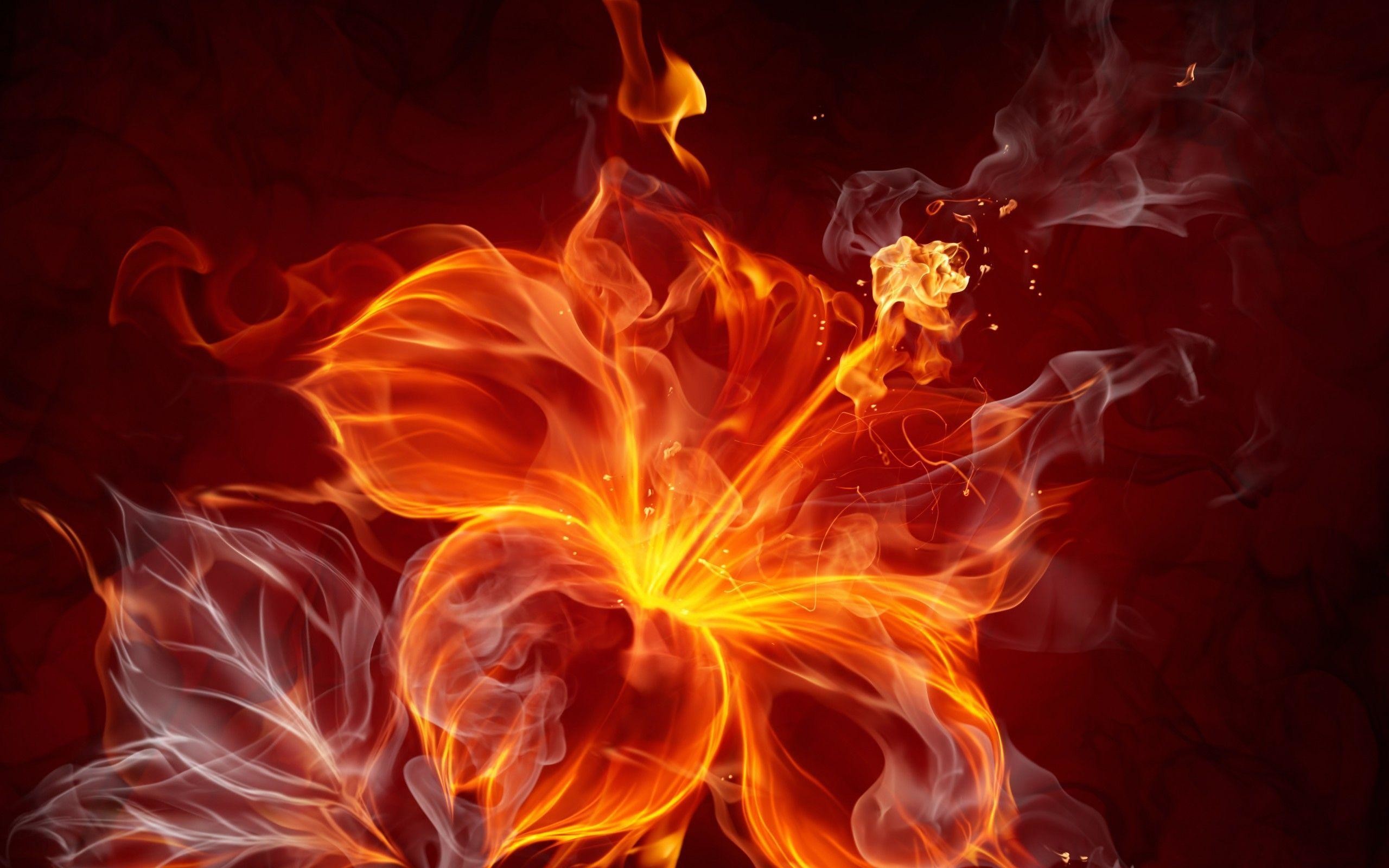 2560x1600 Cool Fire Backgrounds Wallpaper Cave
