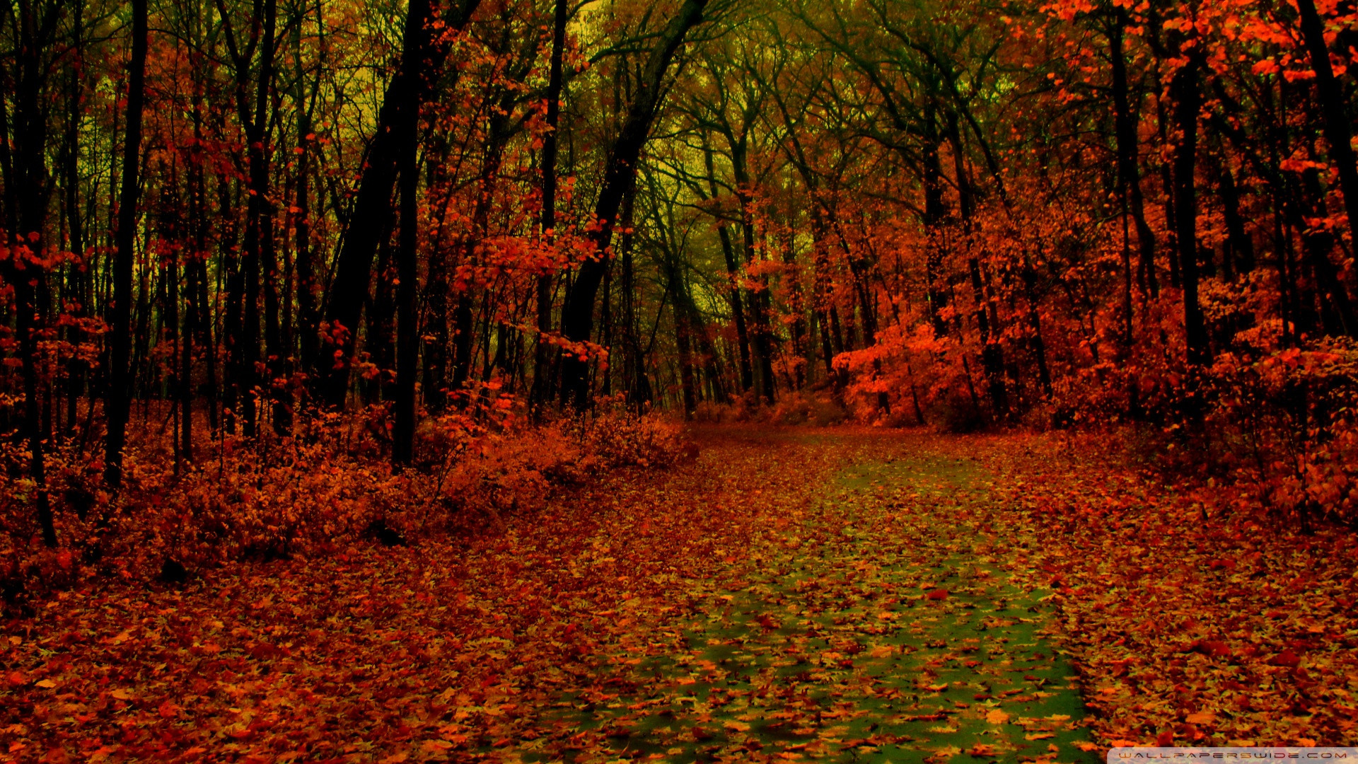 1920x1080 How Will Free Pictures Of Fall Scenes Be In The Future | Free Pictures Of Fall  Scenes