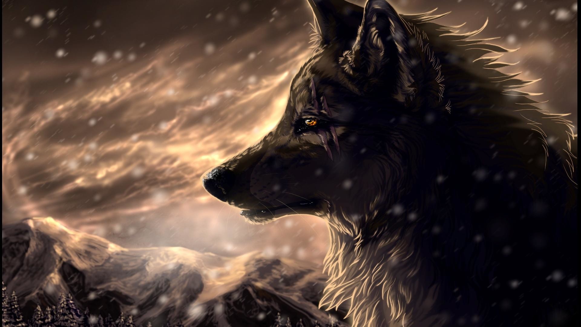 1920x1080 Wolf Wallpapers HD A23