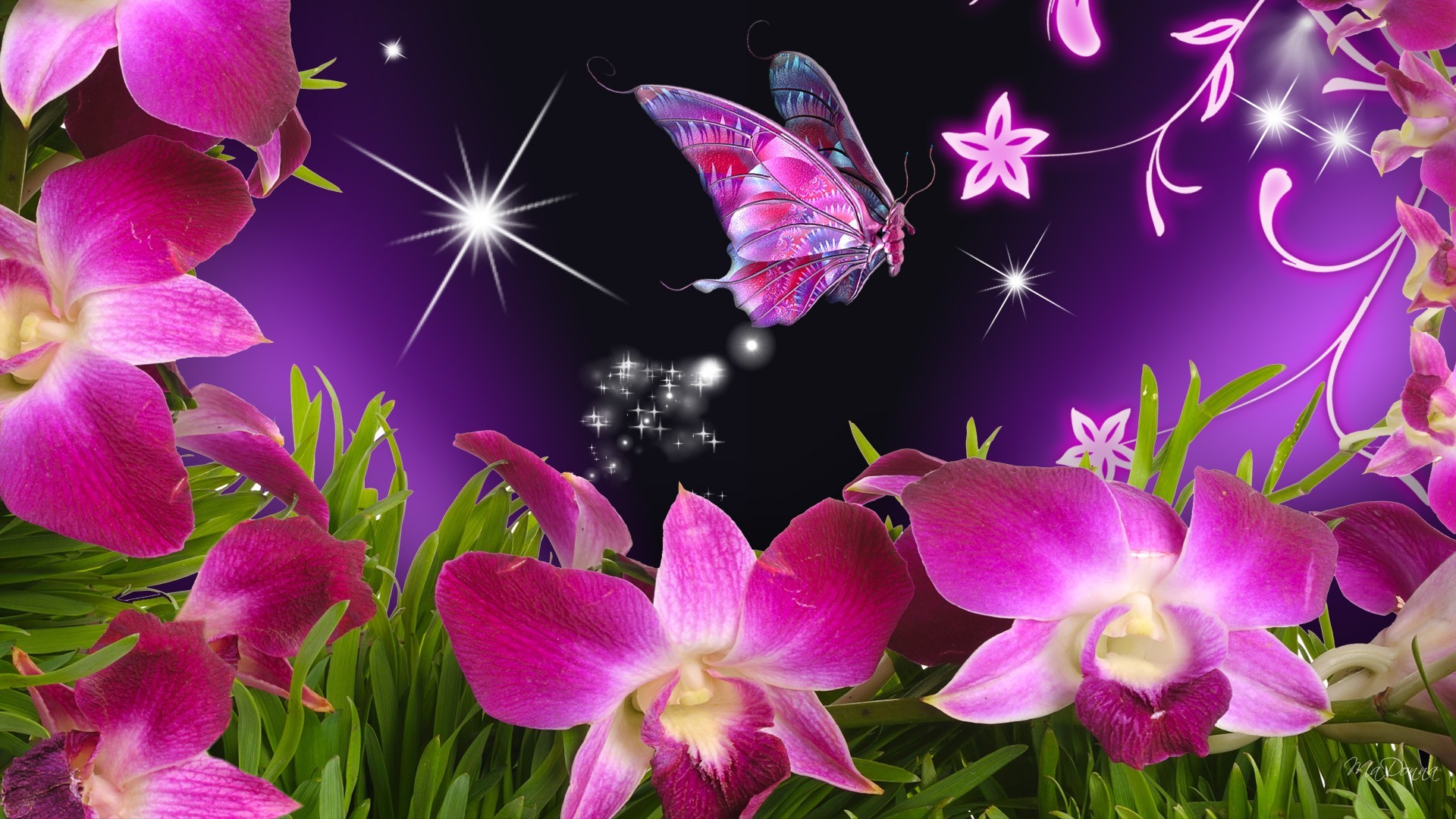 1920x1080 butterflies and flowers | Butterfly Flowers Orchid Purple Stars Vines Free  Hd Wallpapers