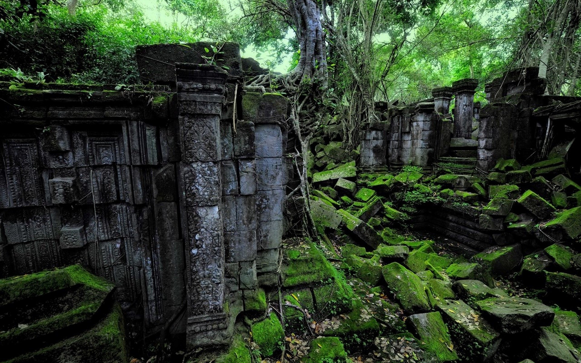 1920x1200 Ruins decay jungle trees forest nature t wallpaper. Ancient ...