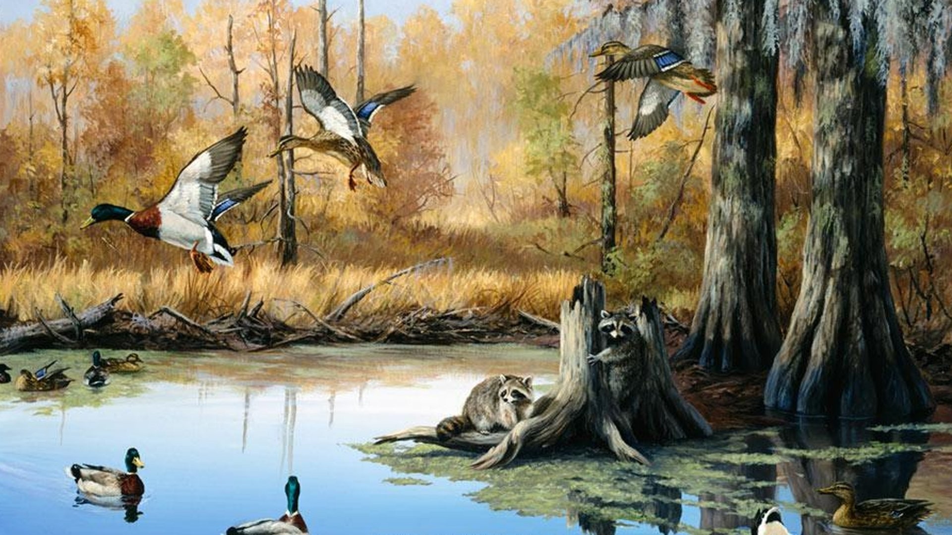 Duck Hunting Backgrounds (48+ images)