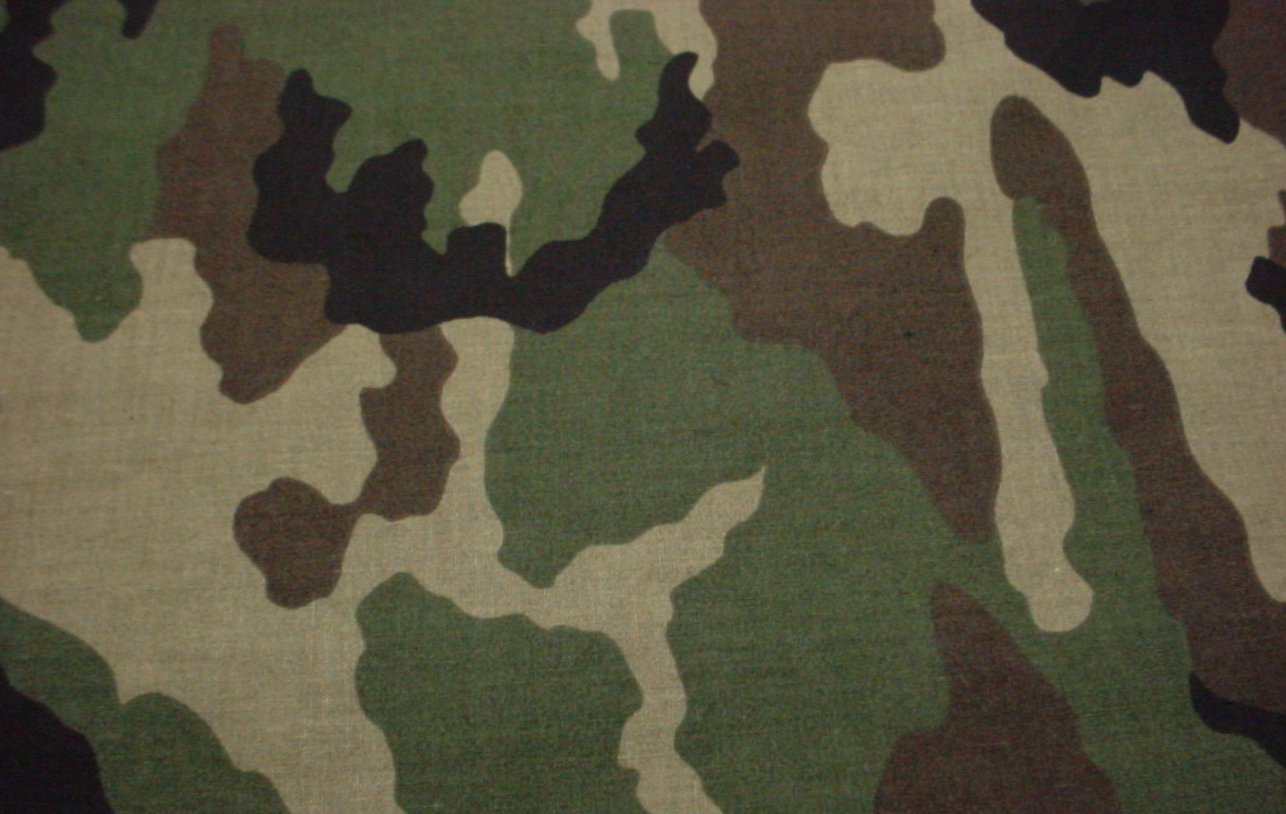 2500x1583 Woodland Camo is Back — Survival Tactical Systems