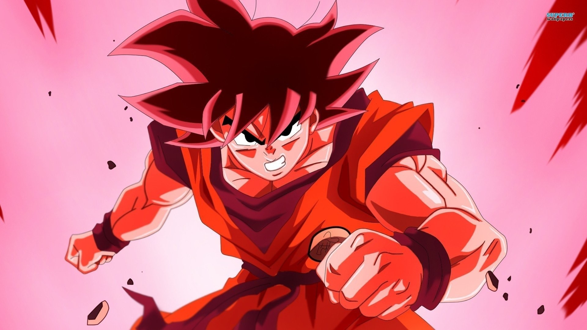 1920x1080  Anime Bardock Broly Dragon Ball Z Goku Goten Nappa Trunks Vegeta  ÃÂ· HD Wallpaper | Background ID:403509