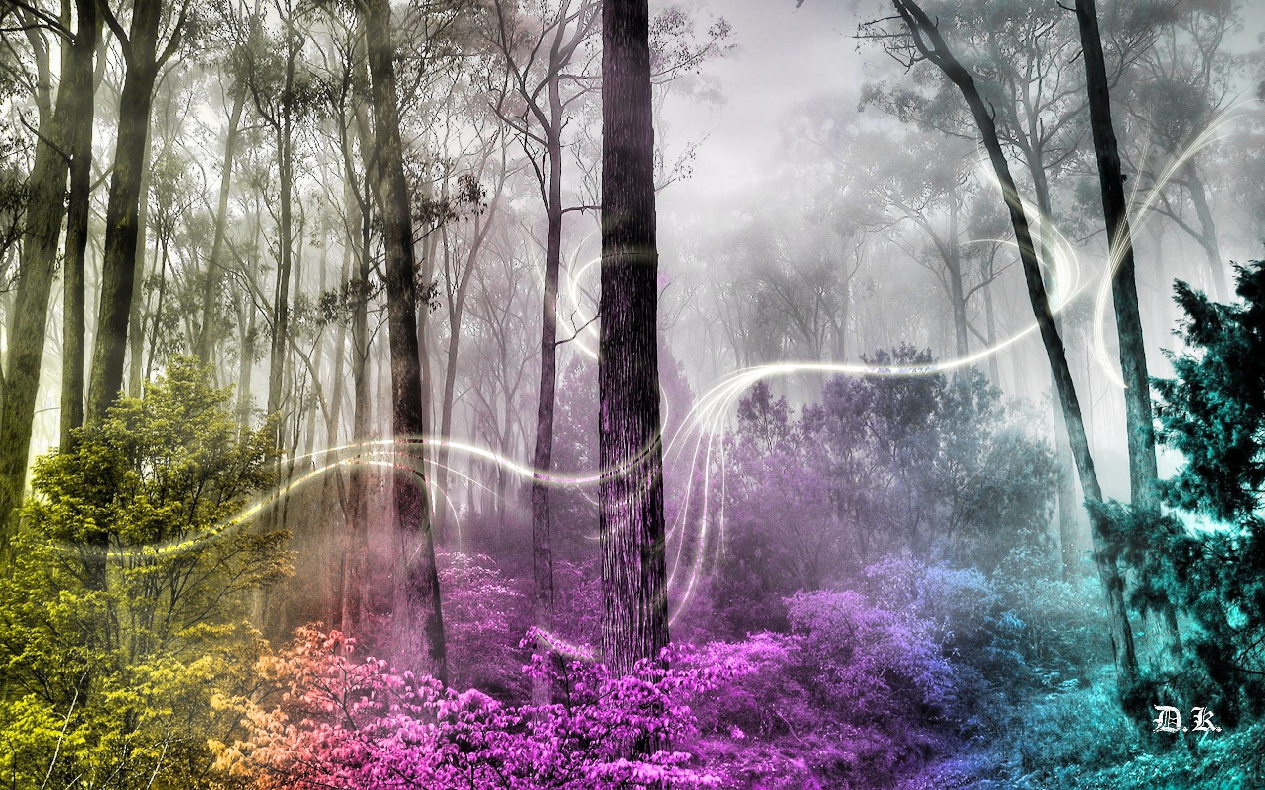 2560x1600 Wallpapers For > Enchanted Fairy Forest Background