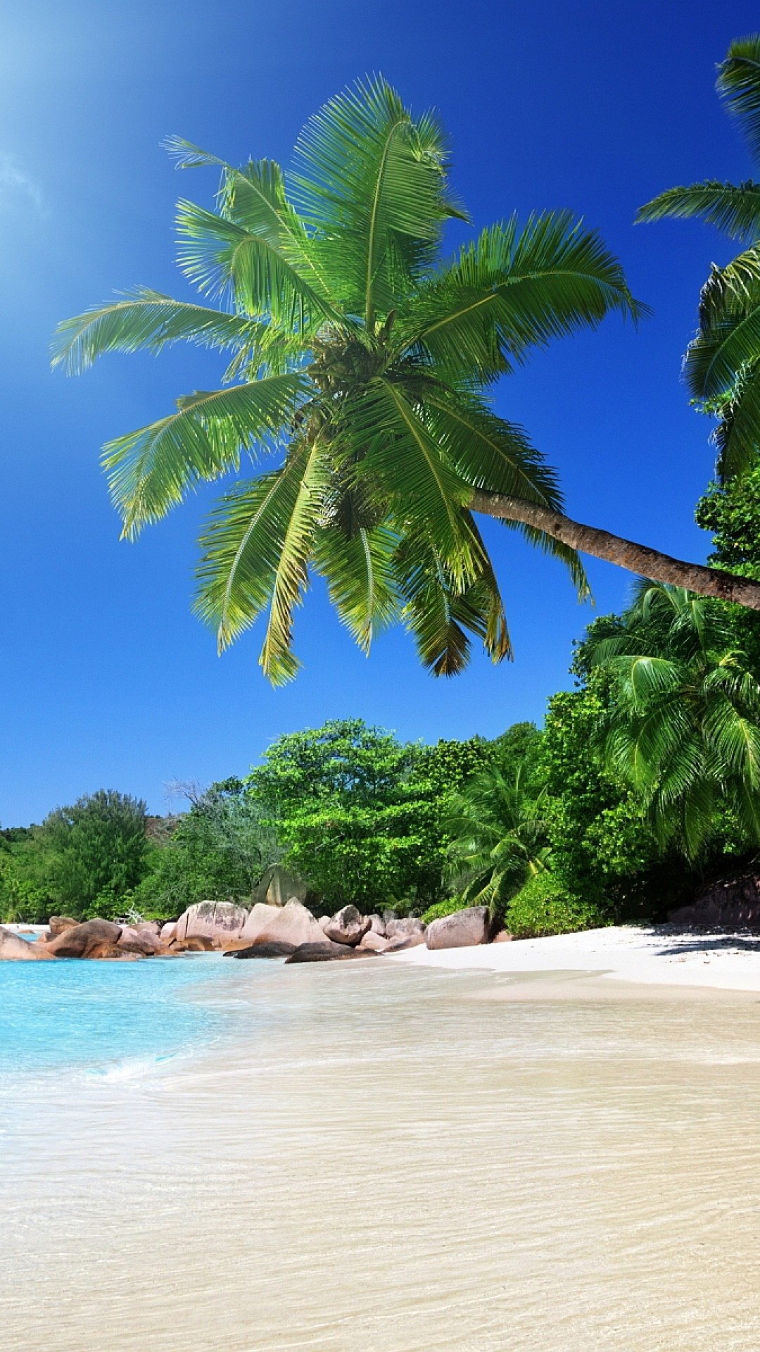 1080x1920 Preview wallpaper beach, sand, palm trees, tropical 