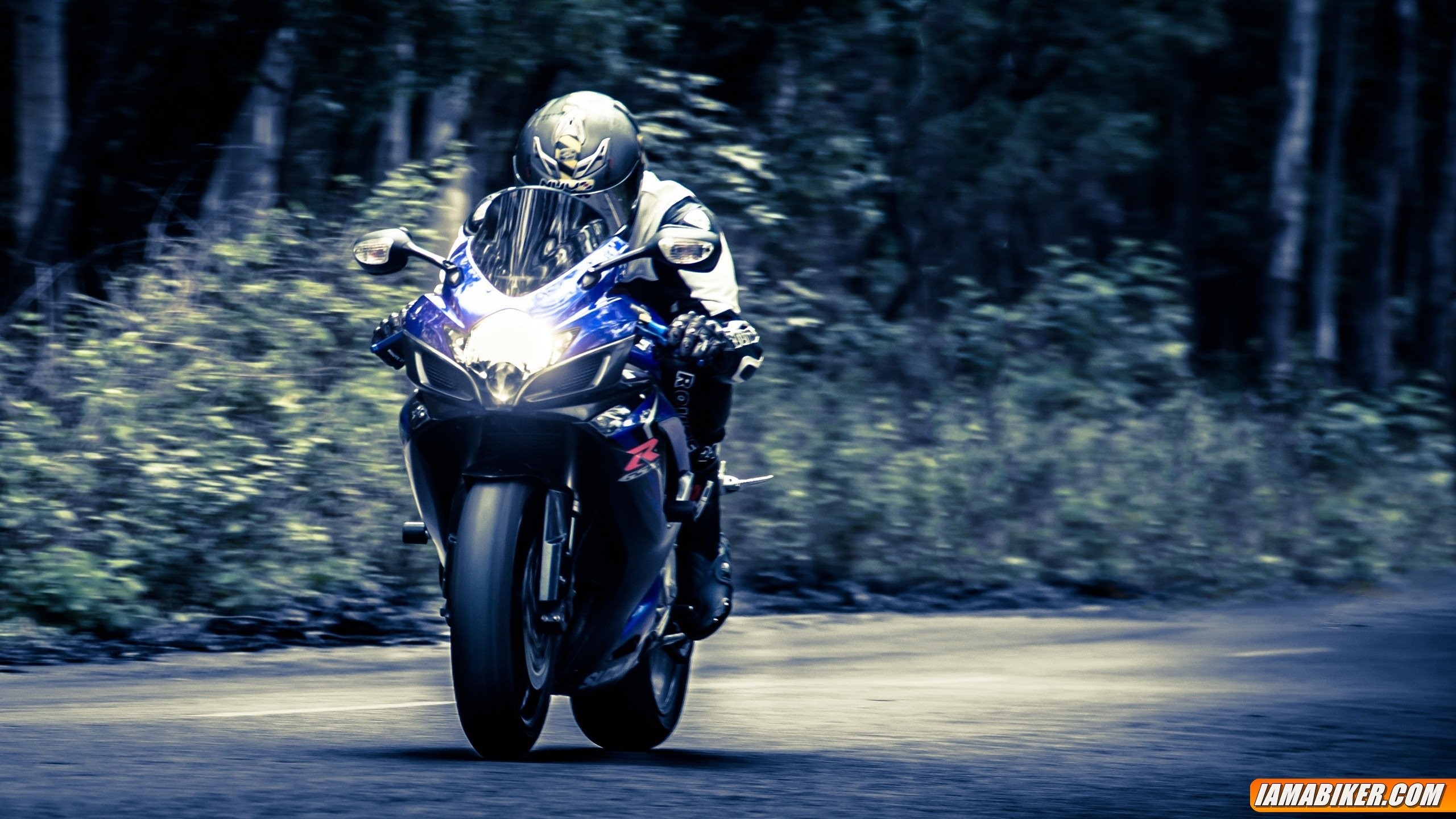 2560x1440 Below we have for you wallpapers of the Suzuki GSX-R 1000 and the GSX-R  600. Click on the image for its higher resolution version.