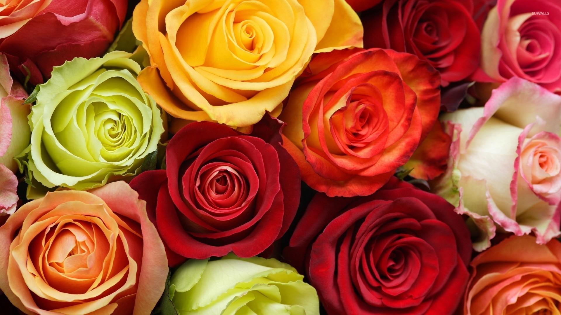 1920x1080 Explore Pretty Flowers, Hd Wallpaper, and more!