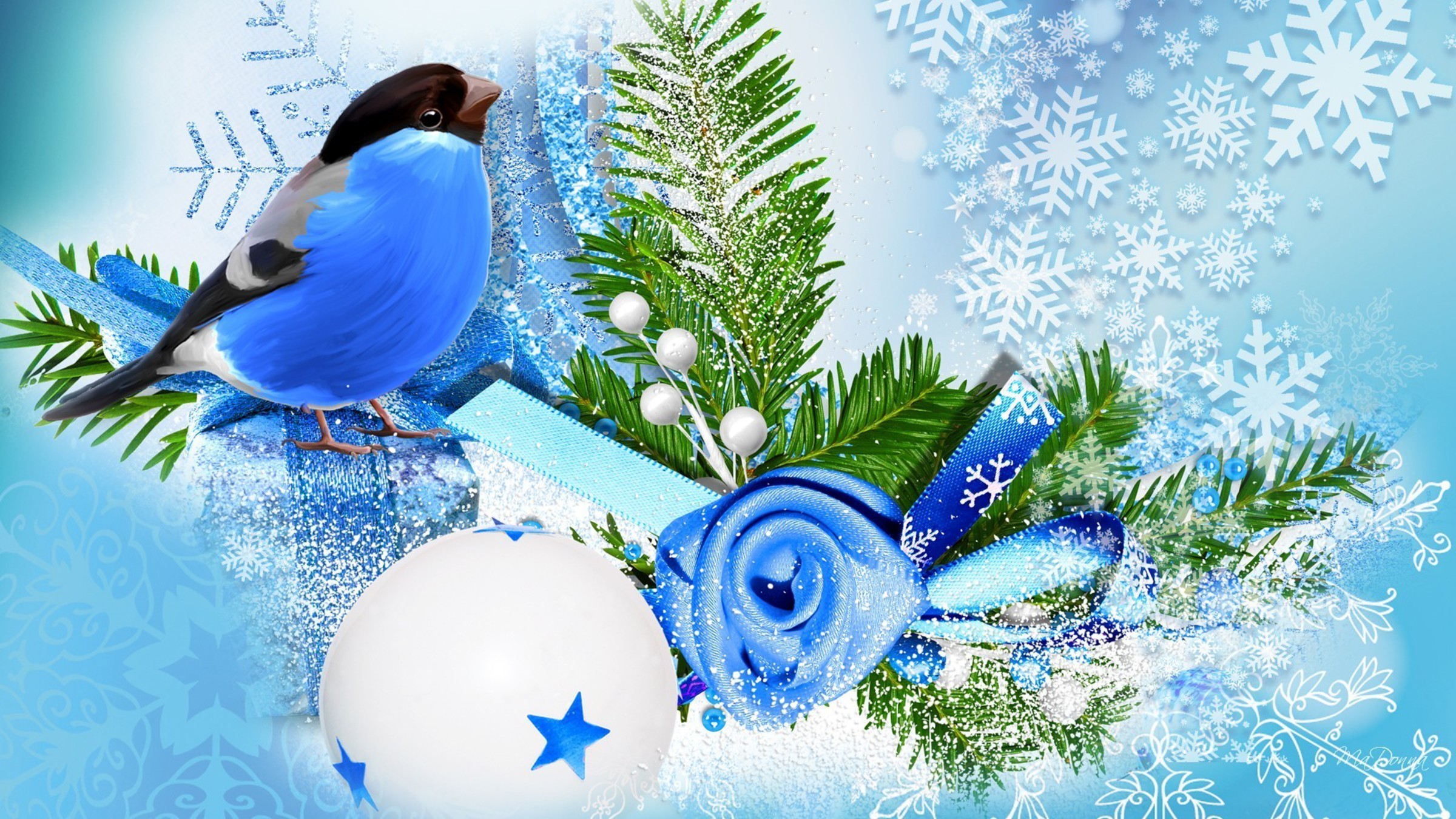 2400x1350 Blue bird winter season wallpaper