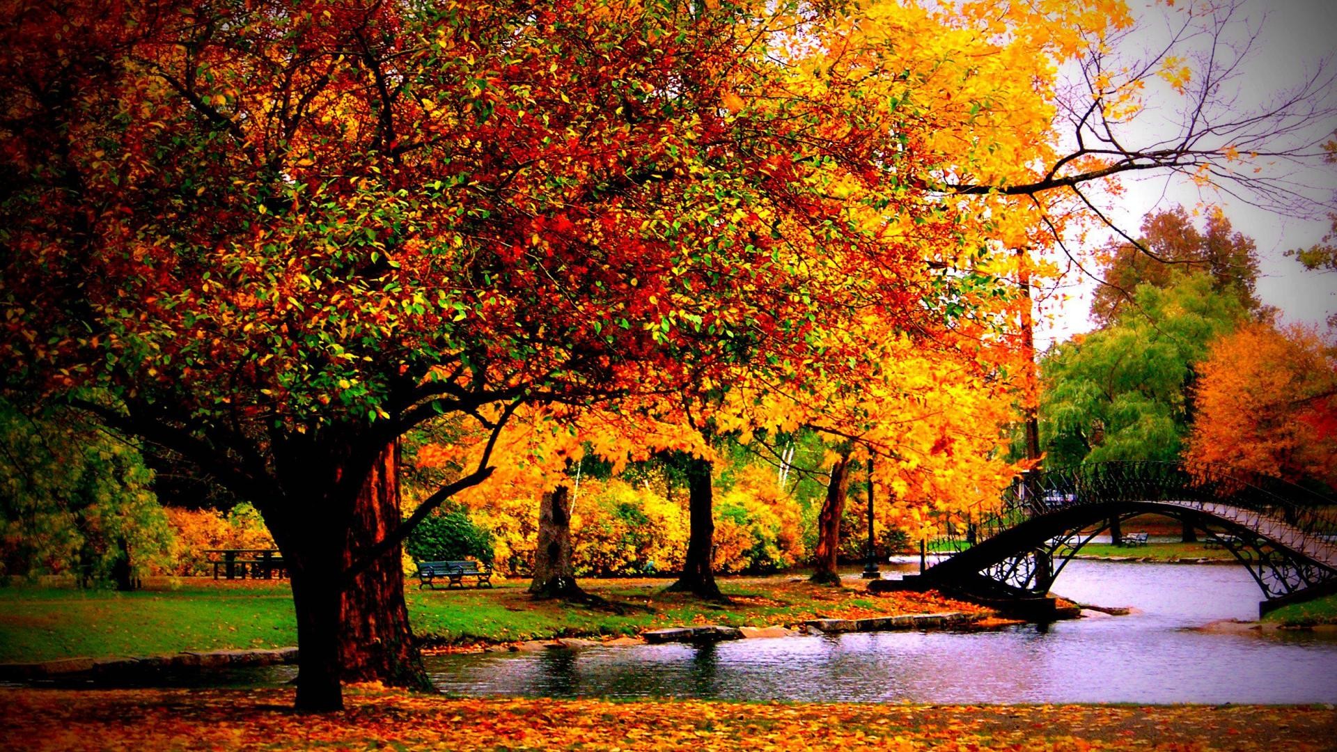 1920x1080 ... 25 Autumn Wallpapers, Backgrounds, Images, Pictures | Design .