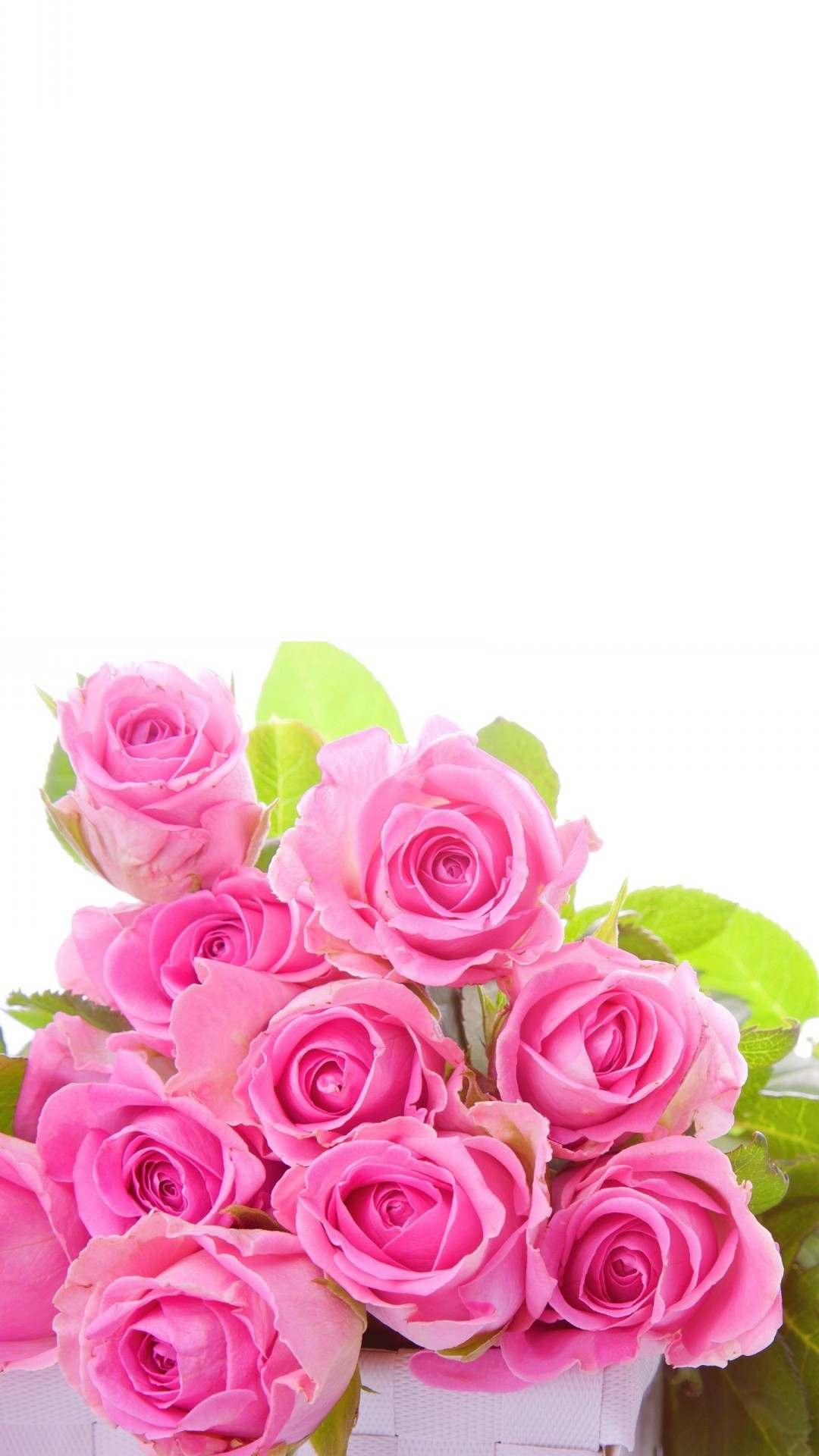1080x1920 Pink roses Flower Wallpaper For iPhone resolution 