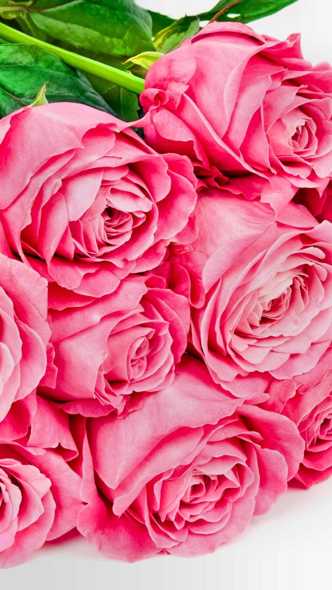 Rose Wallpaper for iPhone (87+ images)