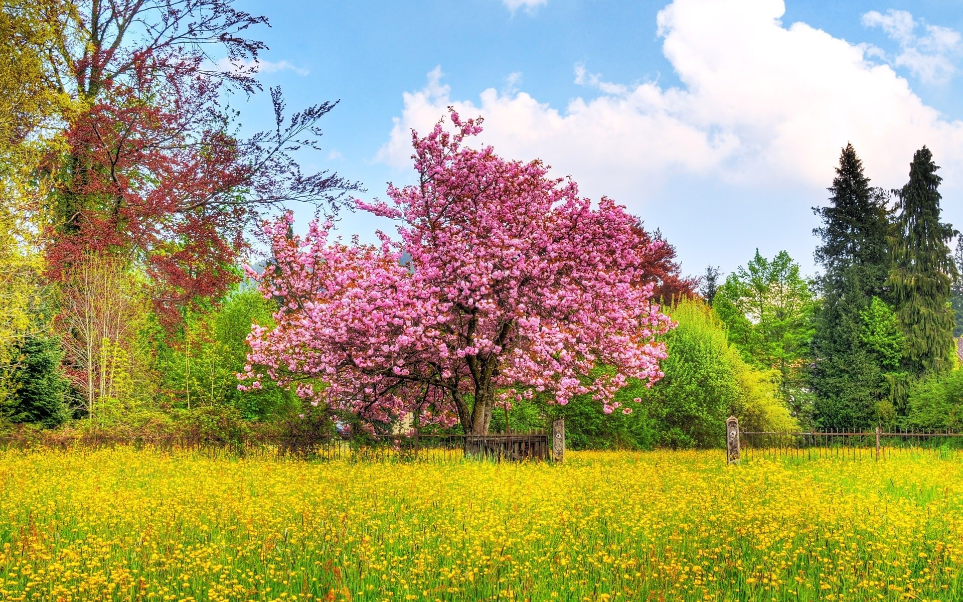1920x1200 1920 x 1200 px free high resolution wallpaper spring scenes by Pitt Backer  for - TWD
