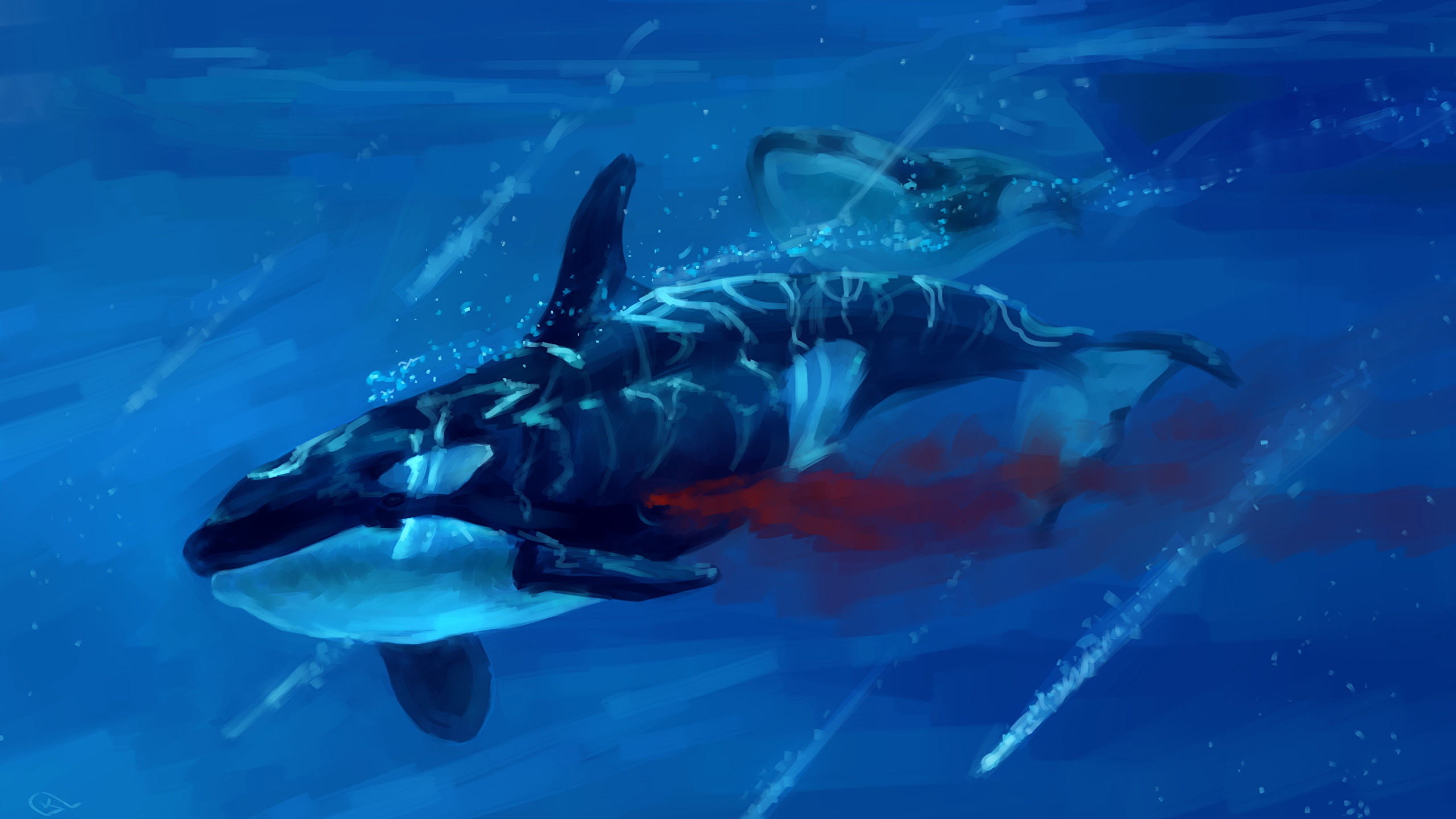 2560x1440 Wallpaper Orca Underwater world Blood Animals Painting Art 