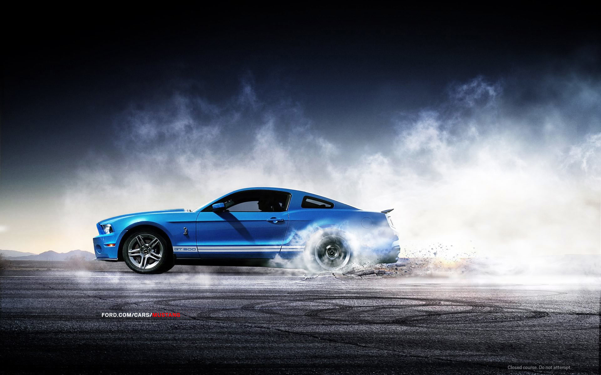 1920x1200 Shelby Mustang Wallpaper Photo #c39
