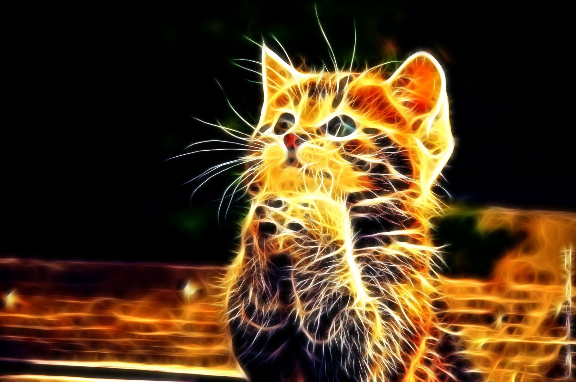 1920x1275 3d Animal Background Cat Cute Wallpaper At 3d Wallpapers