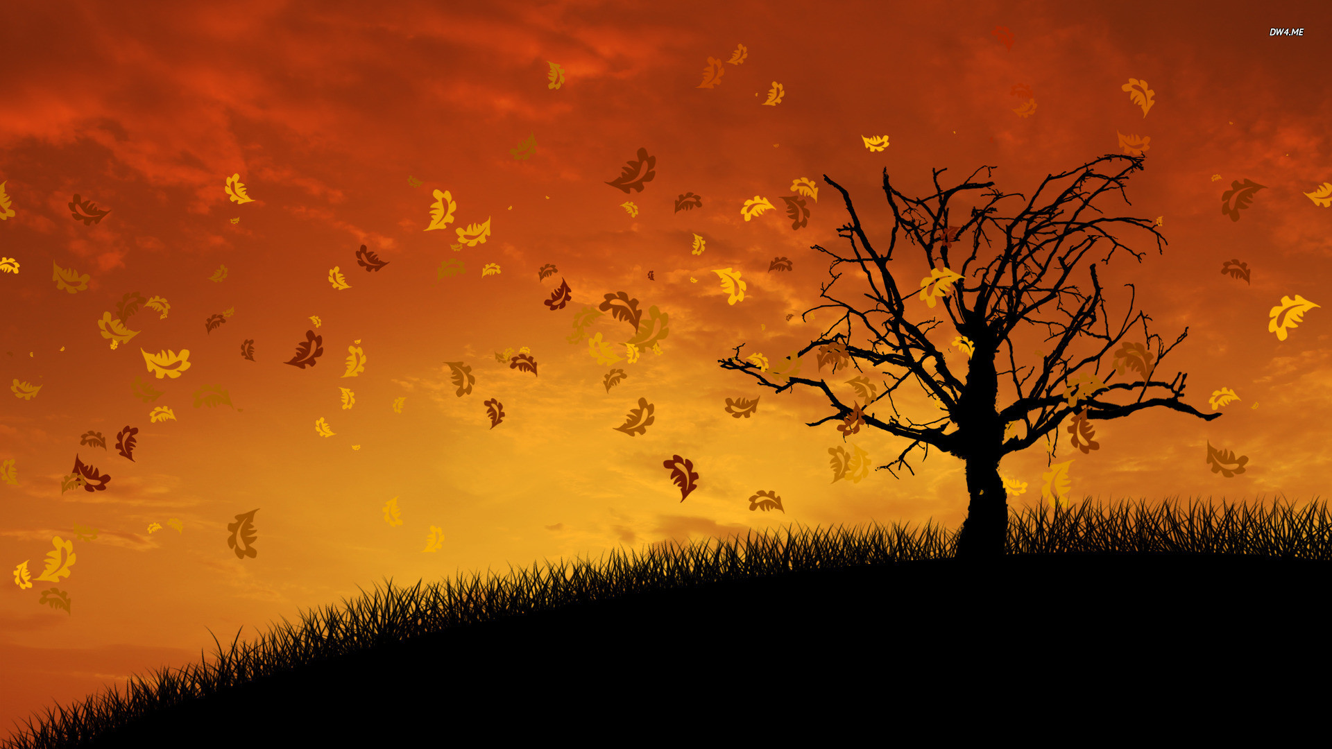 1920x1080 Collection of Fall Themed Wallpaper on Spyder Wallpapers