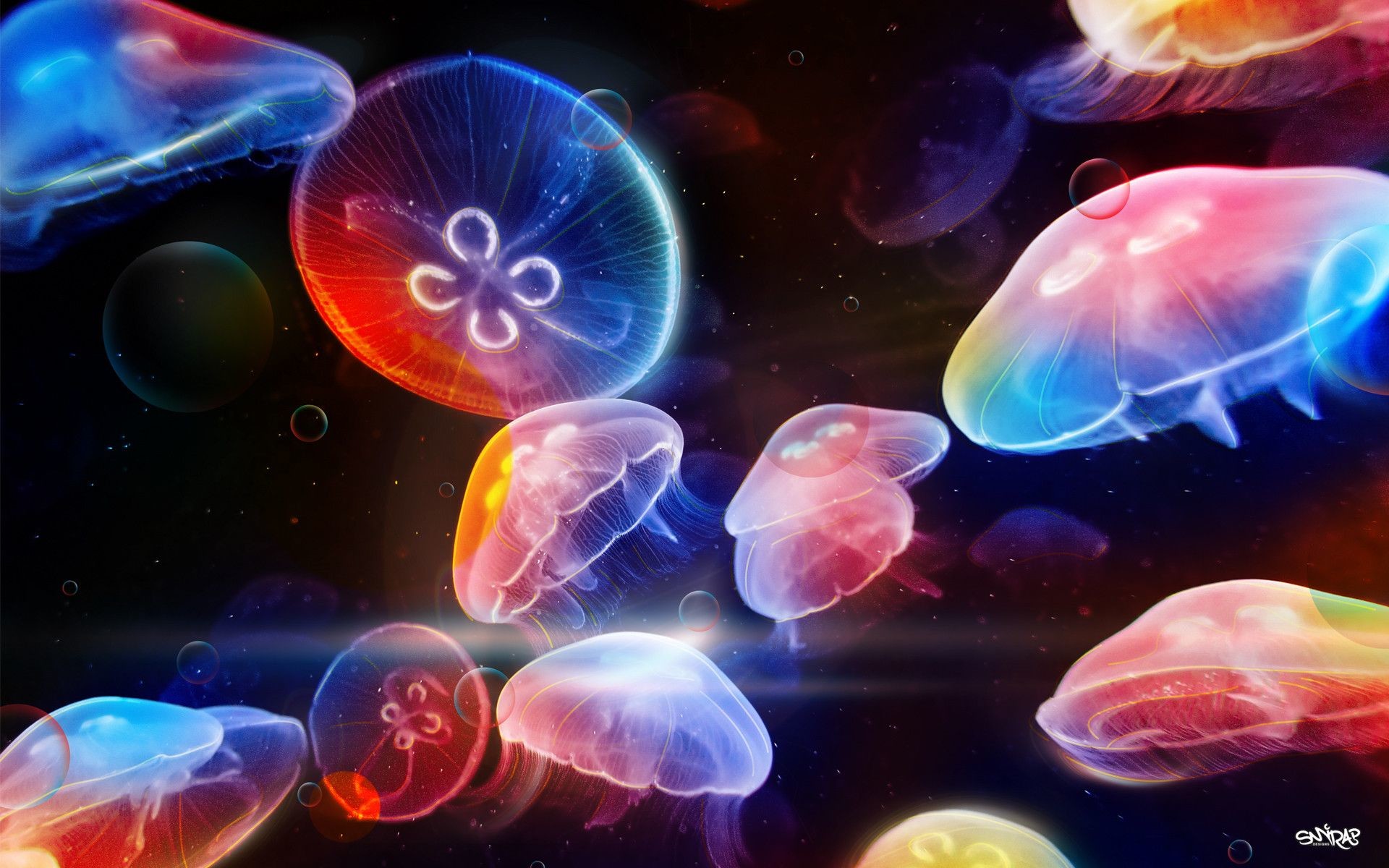 1920x1200 Jellyfish Wallpapers - Wallpaper Cave