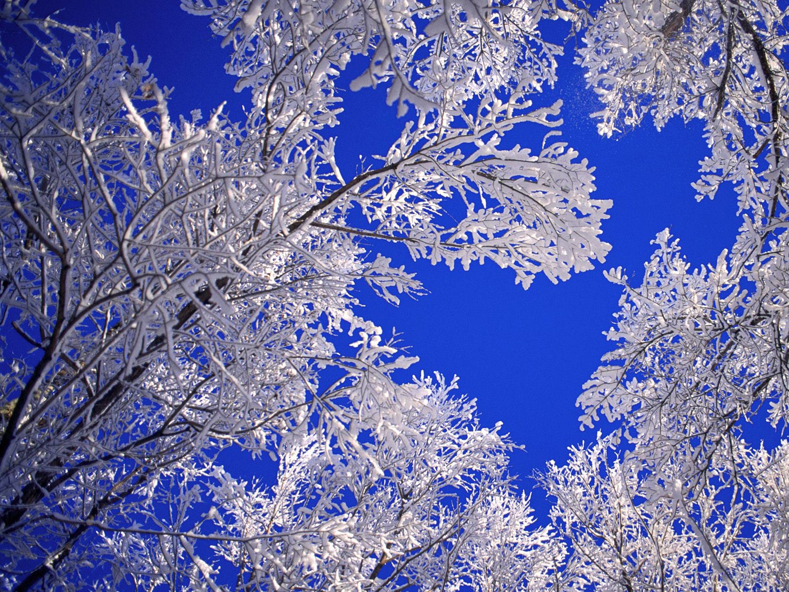 2560x1920 desktop wallpaper winter scenes - www.