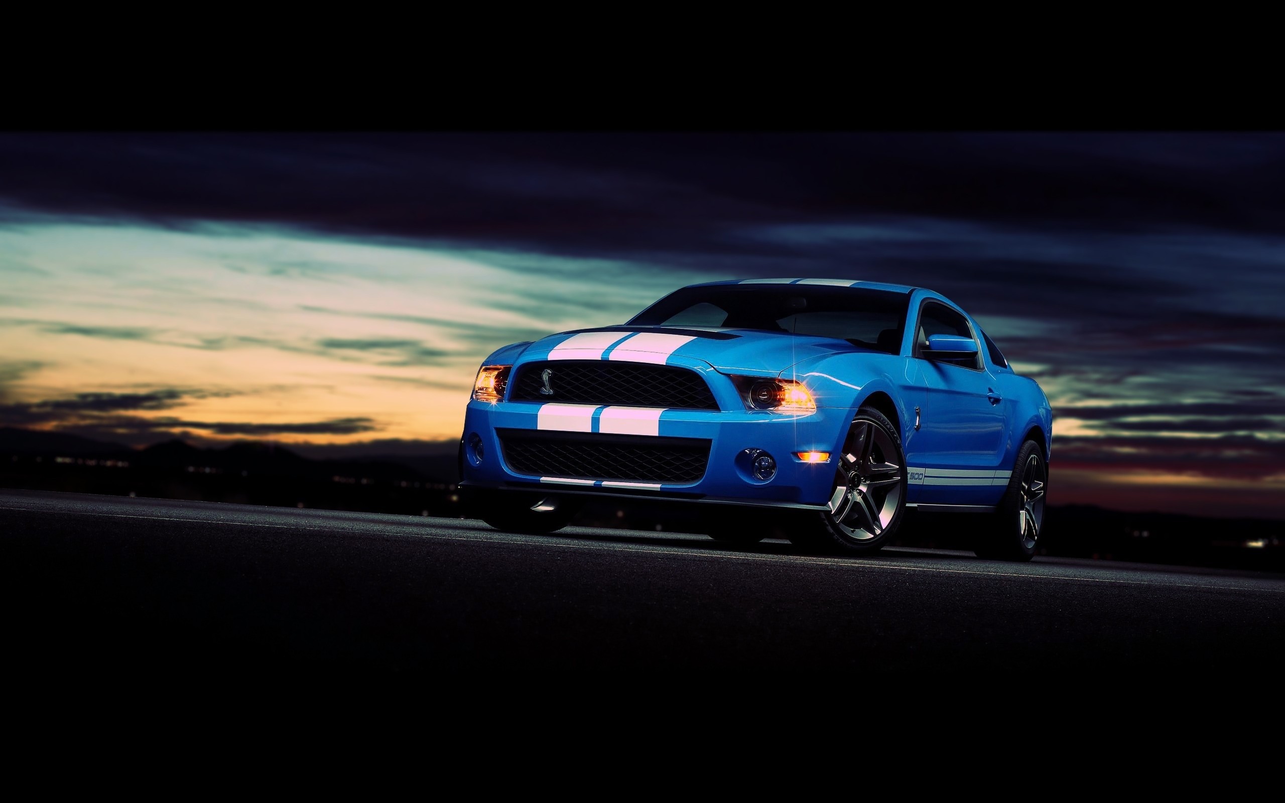2560x1600 HD Wallpaper | Background ID:396443.  Vehicles Ford Mustang Shelby  GT500
