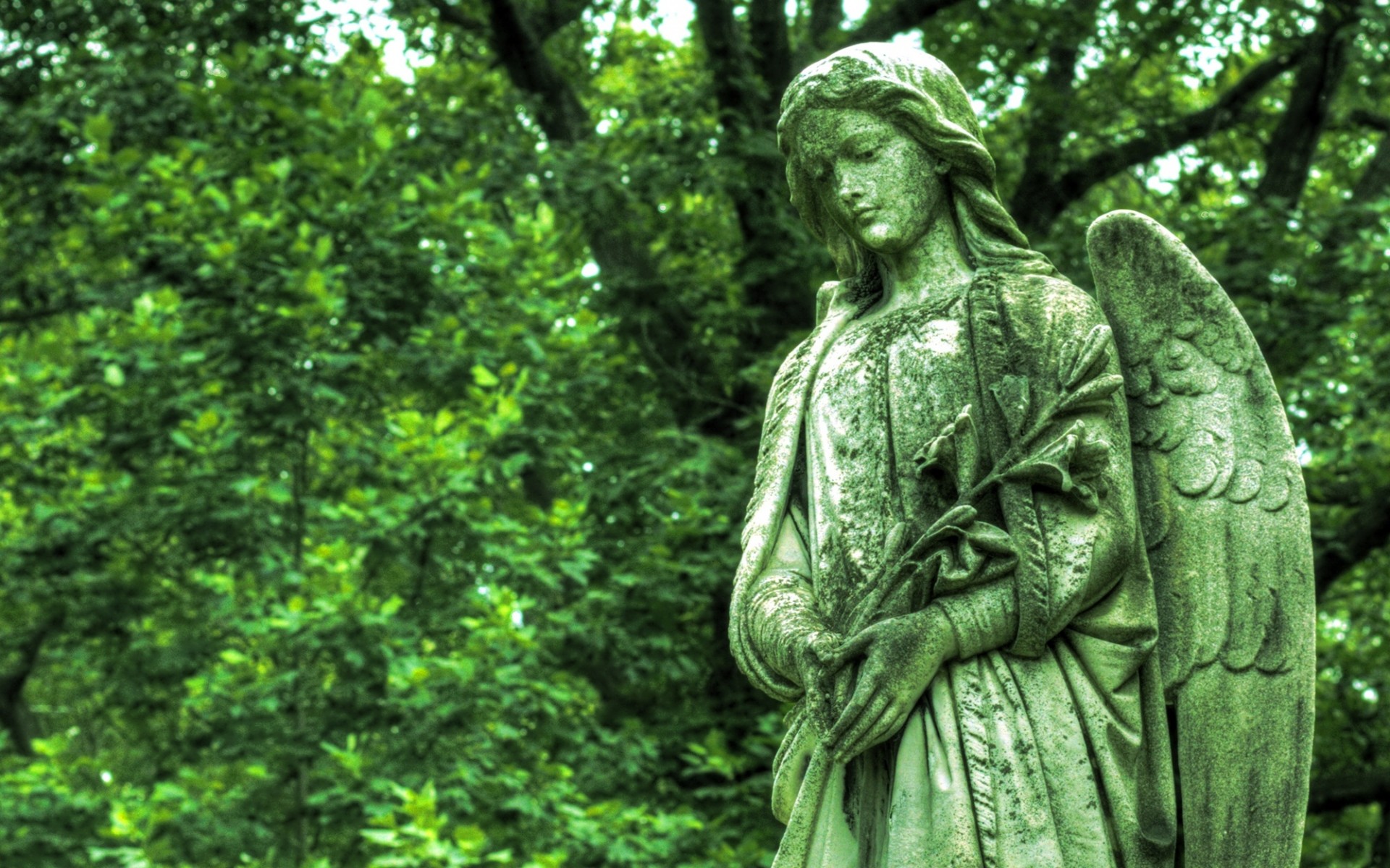 1920x1200 Cemetery statue bronze angel wings grave green monument gothic religion  wallpaper