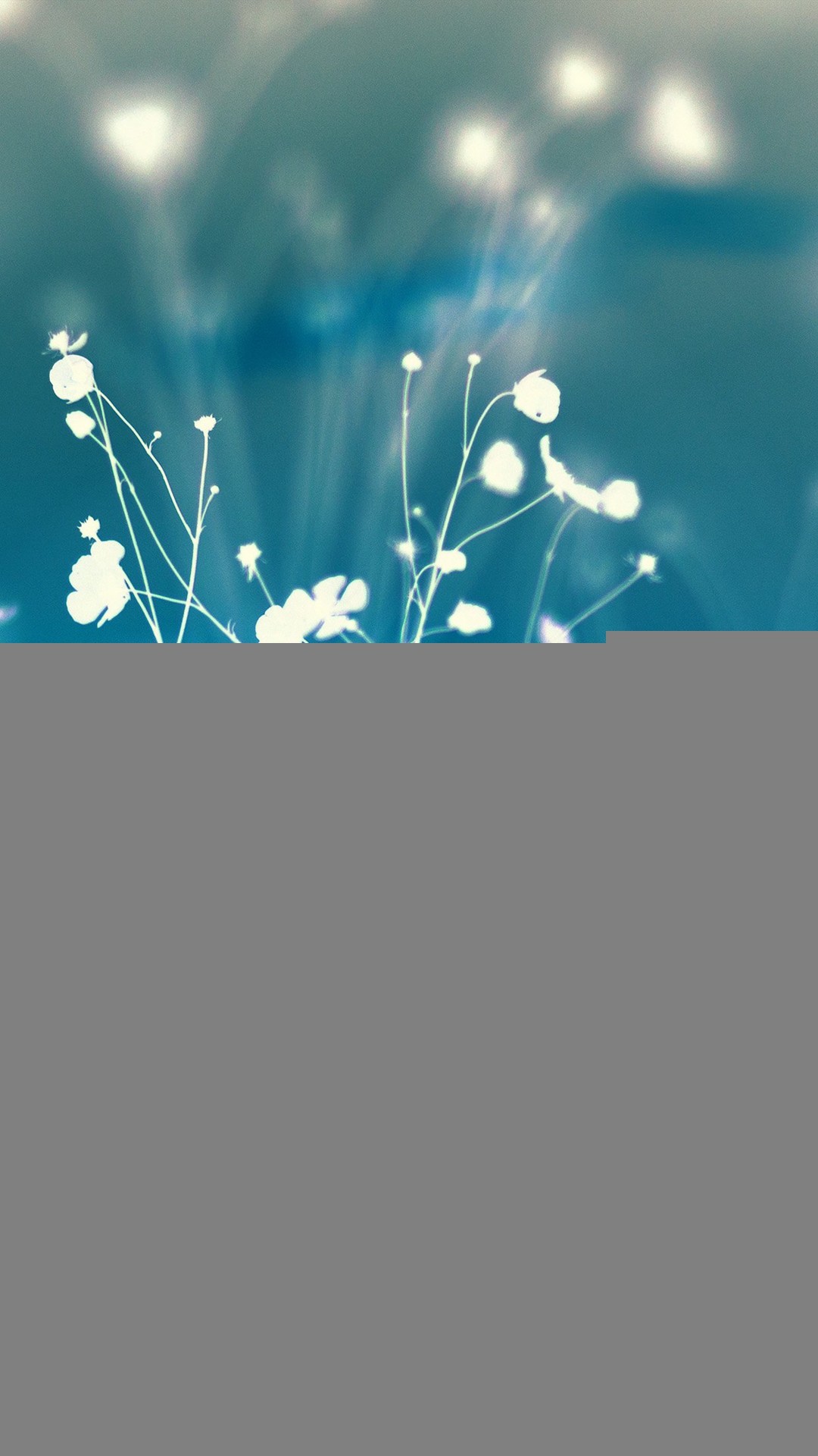 1080x1920 Night Nature Flower Sunset Shadow White Blue iPhone 8 wallpaper