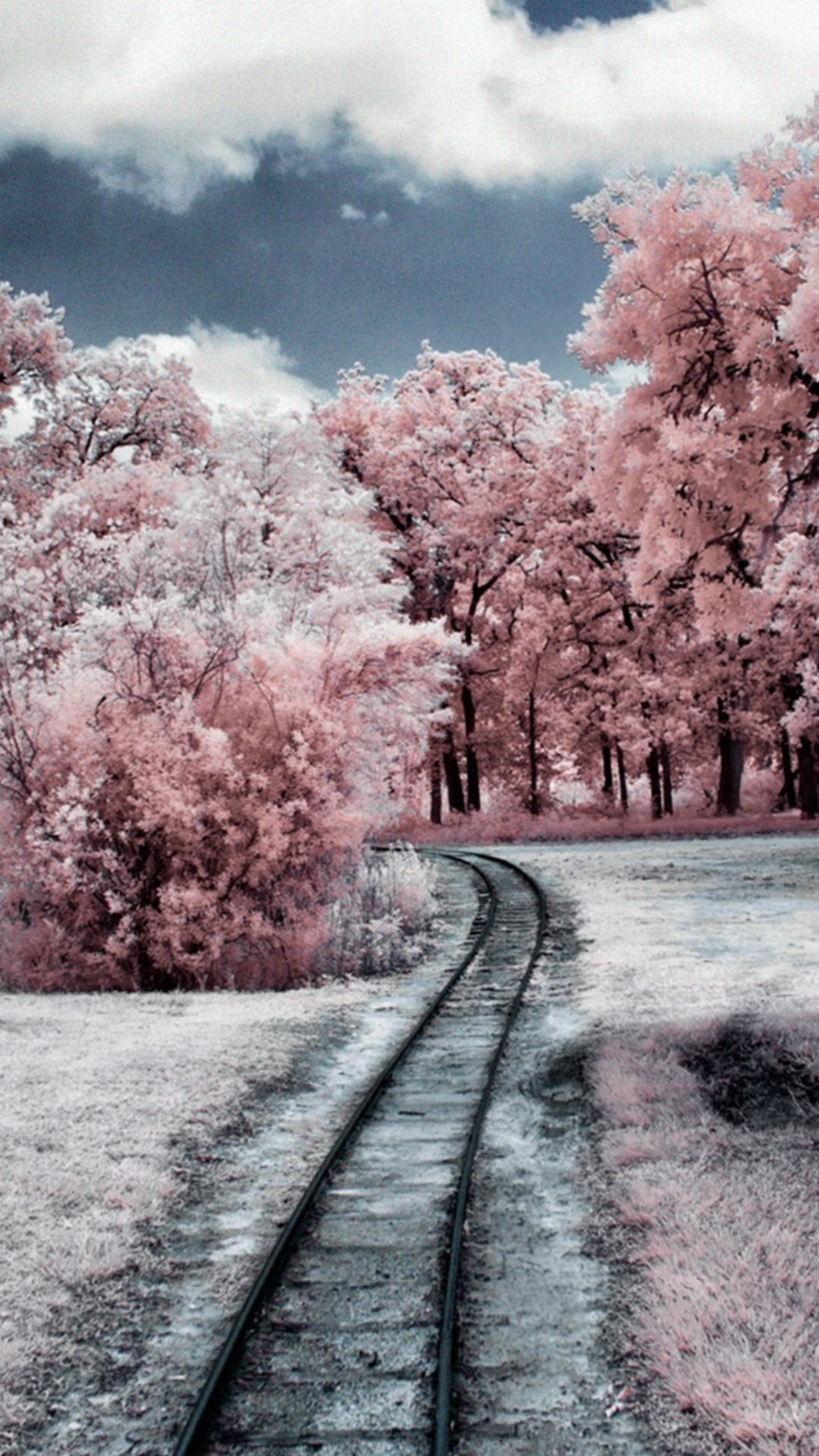 1080x1920 Natur Winter durch Rosa Wald iPhone 8 Plus Wallpaper