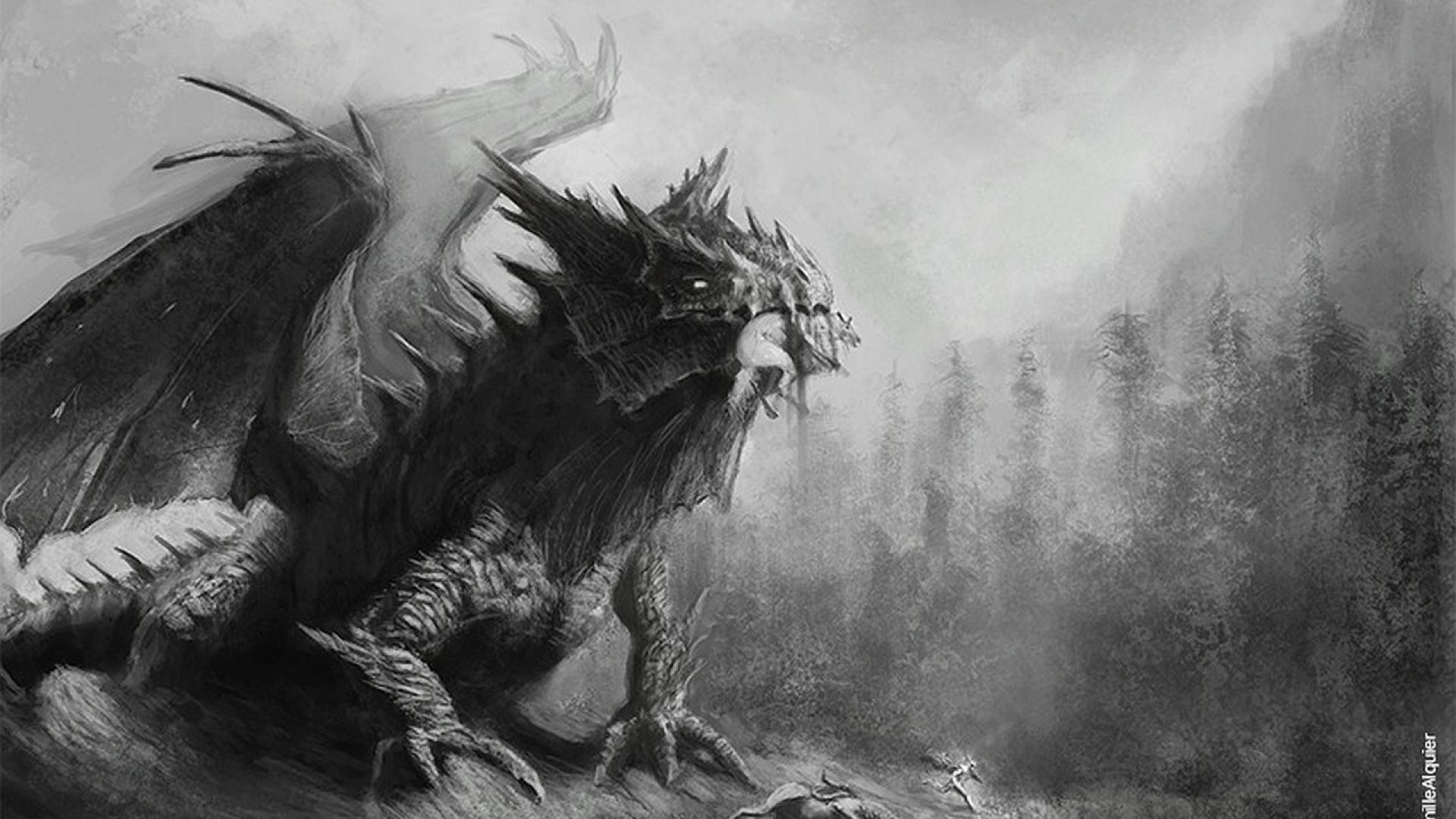 1920x1080 Black and white dragons forests fantasy art drawings wallpaper #fantasy -  See more Character Designs