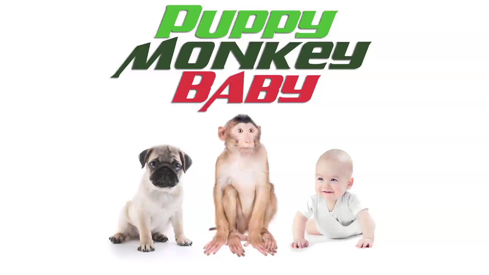 1920x1080 "PUPPY MONKEY BABY" - MOUNTAIN DEW TV COMMERCIAL TRIBUTE - YouTube