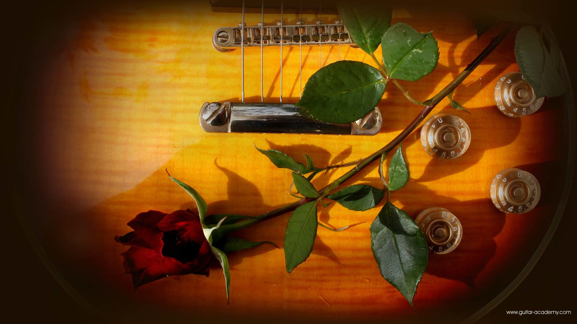 1920x1080 Guitar wallpaper, romantic looking Gibson Les Paul and red rose