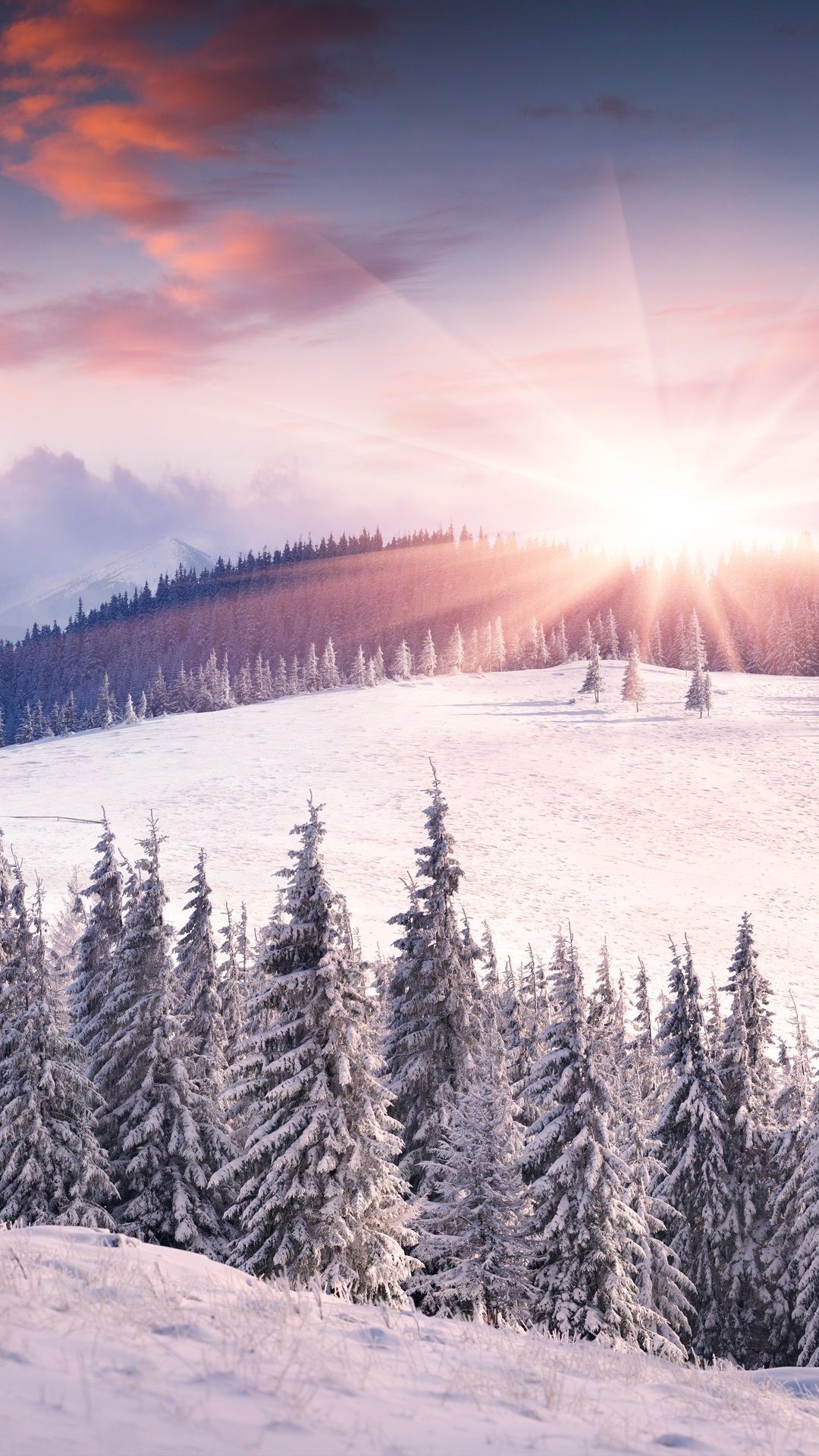 1080x1920 Dawn, winter, snow, sun, mountains, trees