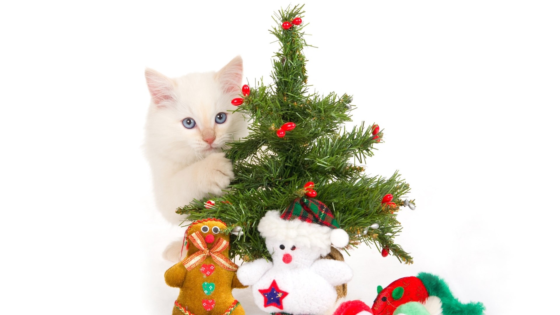 1920x1080  Wallpaper kitten, new year, christmas tree, toys, playful