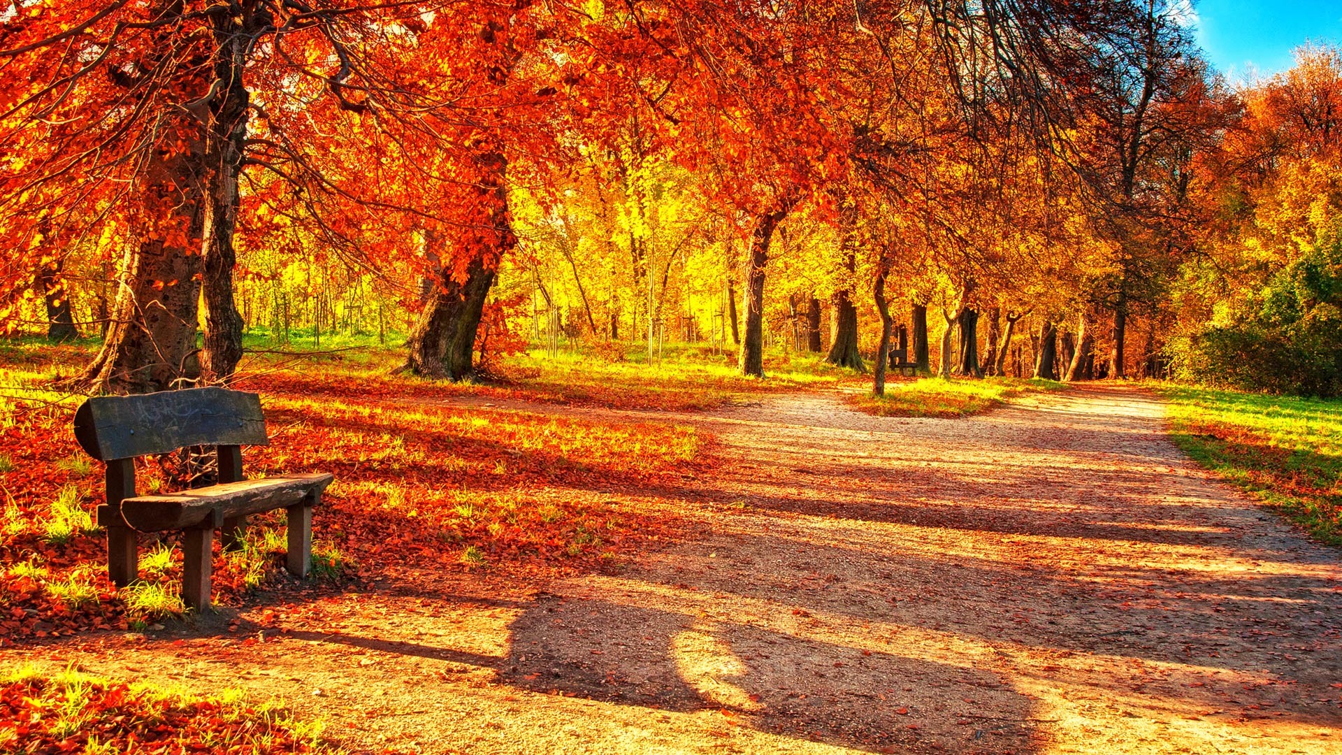 1920x1080 Download Autumn Leaves Wallpaper Desktop #x0ray Â» hdxwallpaperz.com
