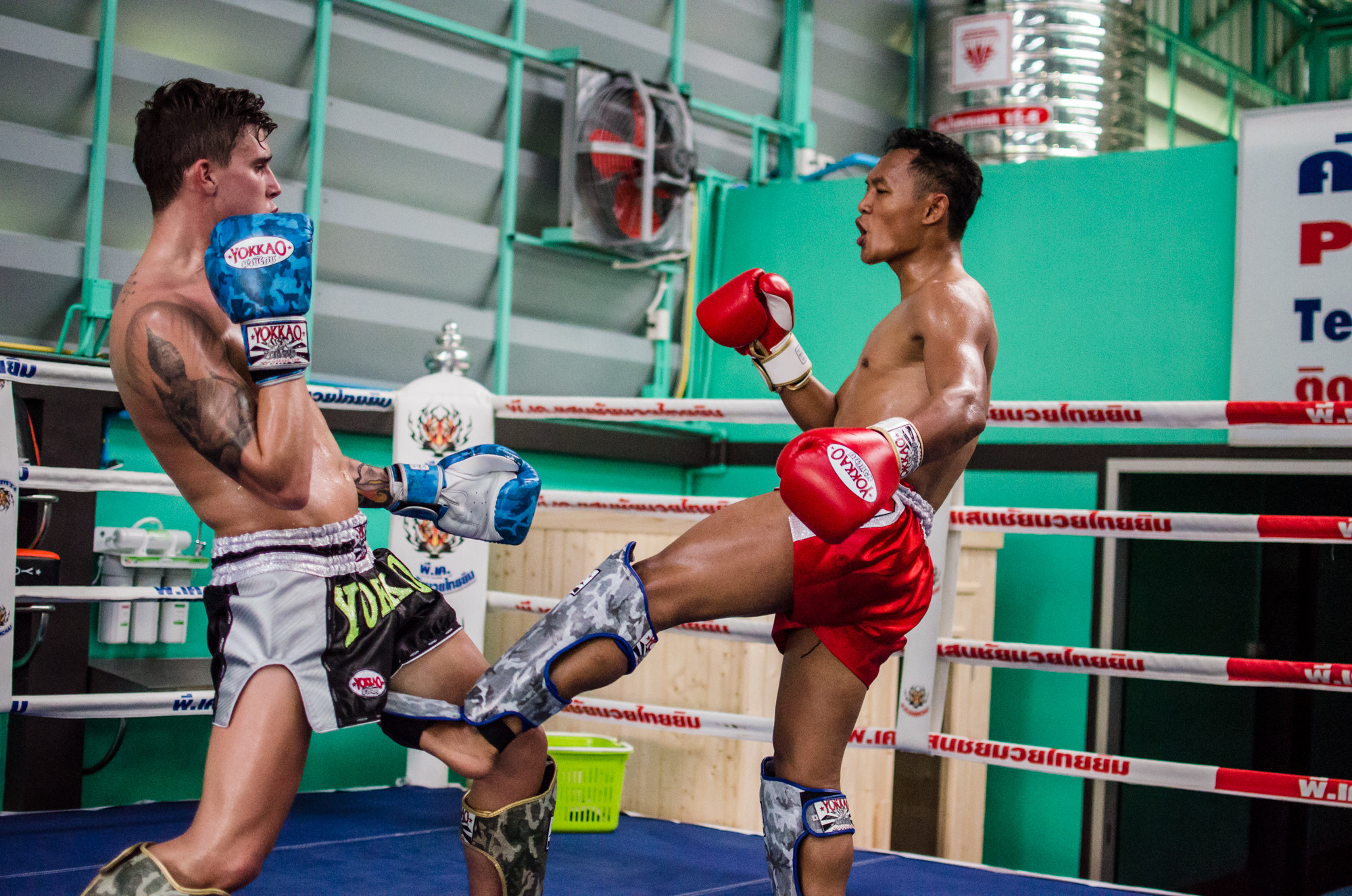 Muay Thai trenirovka