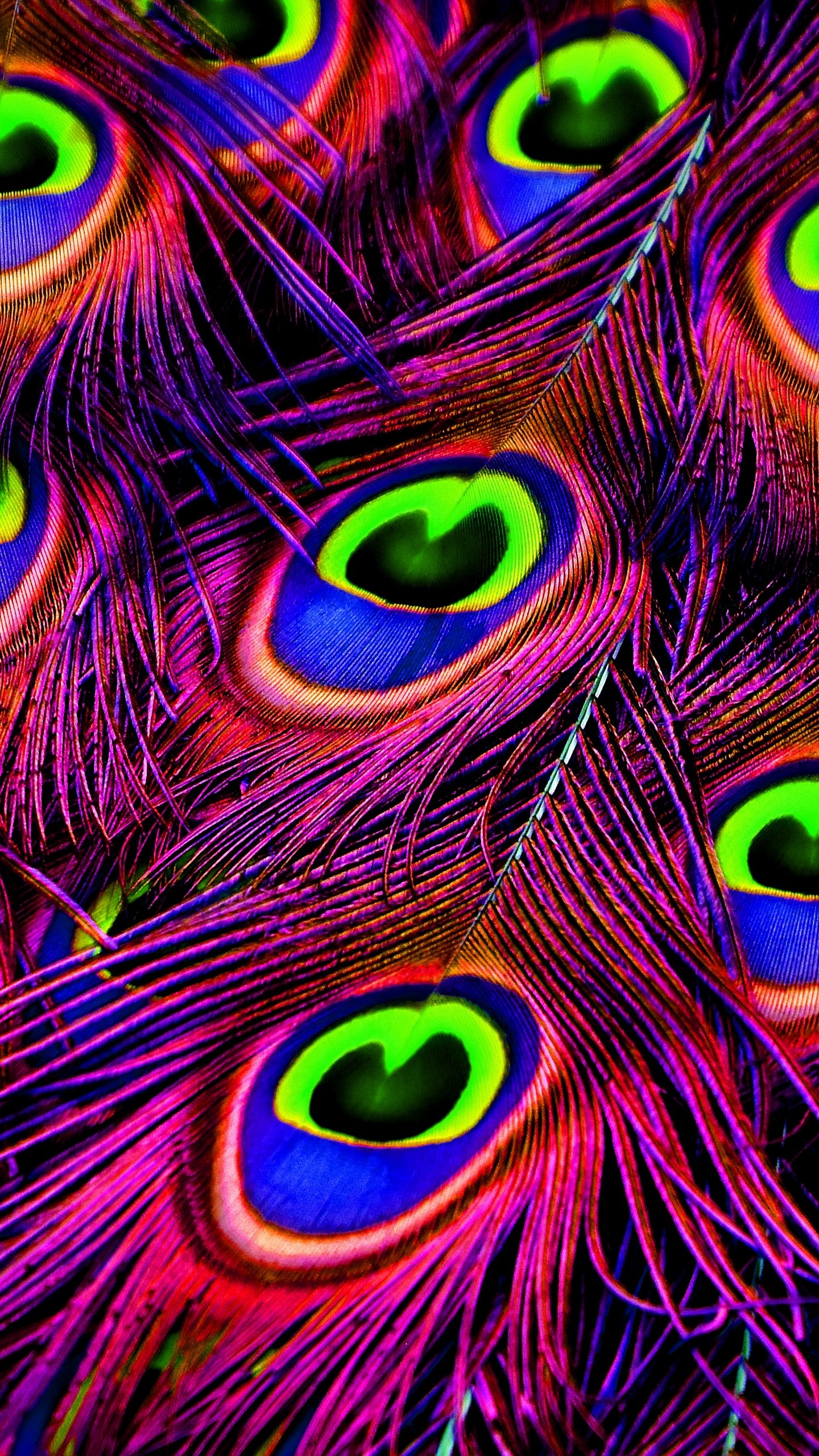 1440x2560  Wallpaper peacock, feathers, bright, photoshop