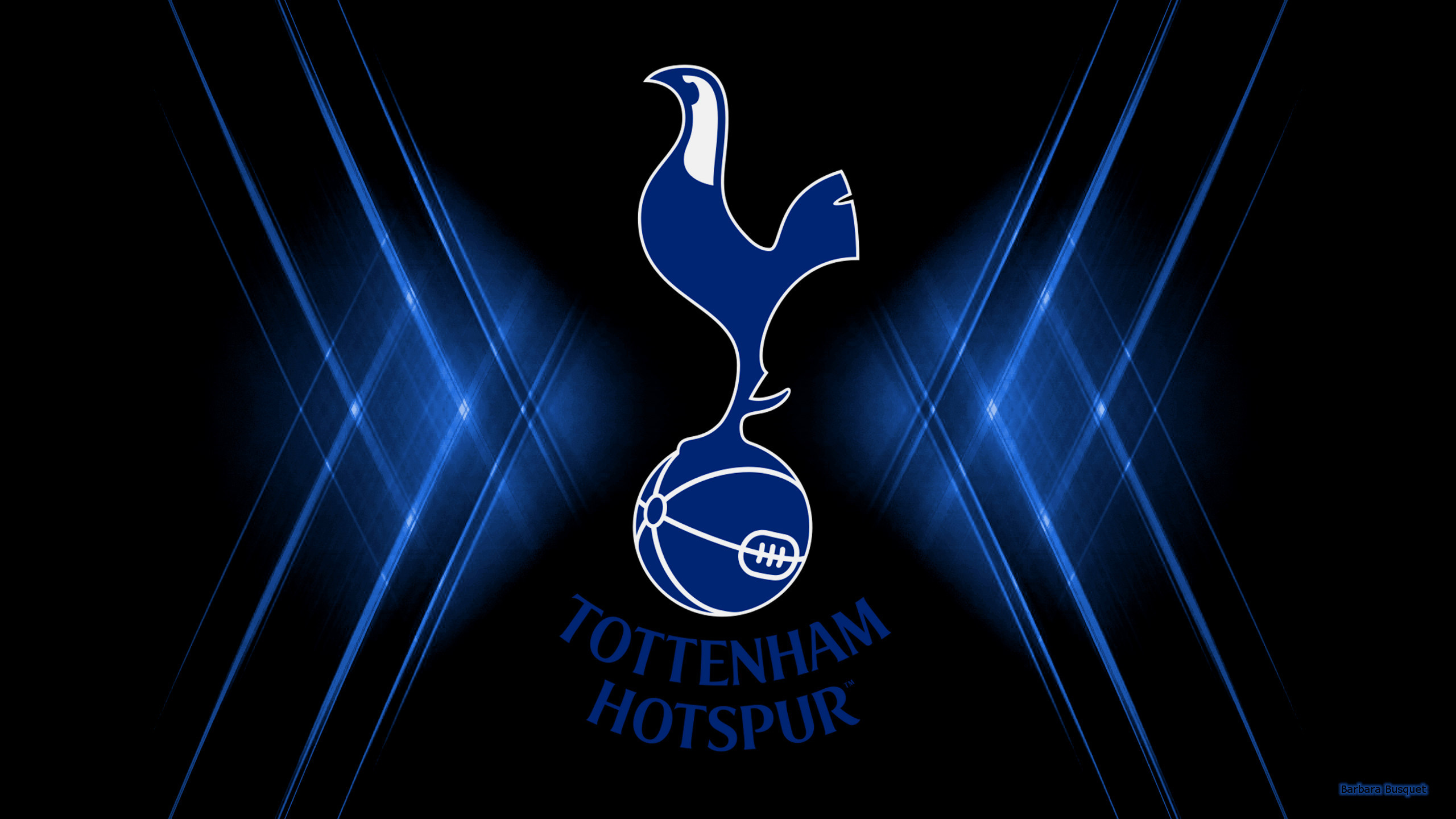 2560x1440 Black blue Tottenham Hotspur football club wallpaper