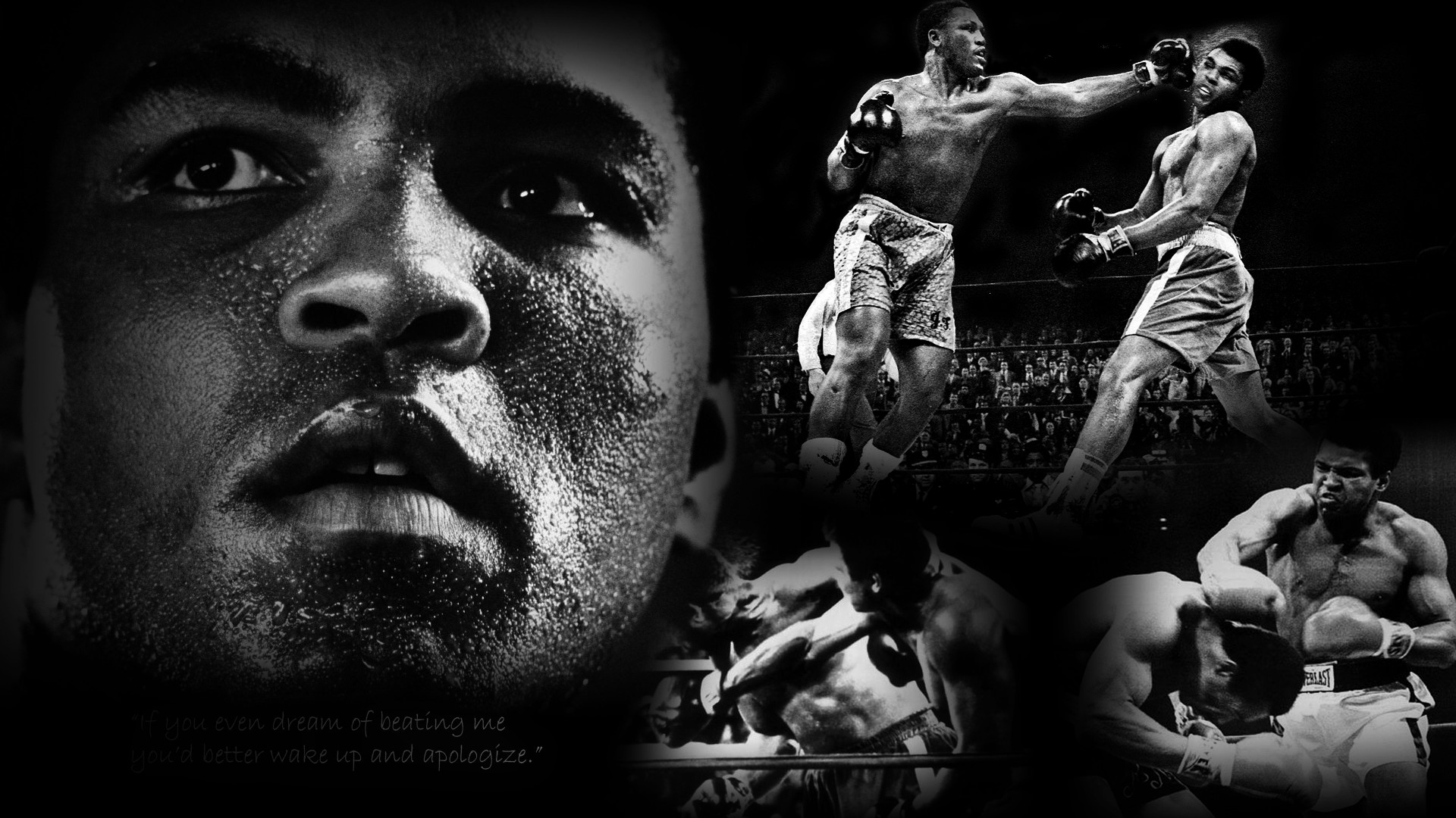 1920x1080 Collection of Muhammad Ali Widescreen Wallpapers: 4588144, 