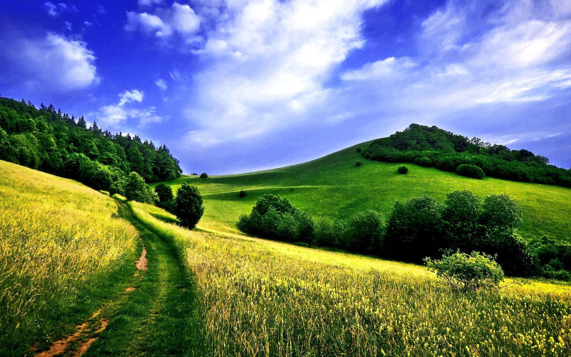 1920x1200 country road in a green field Download HD Wallpapers for Desktop 