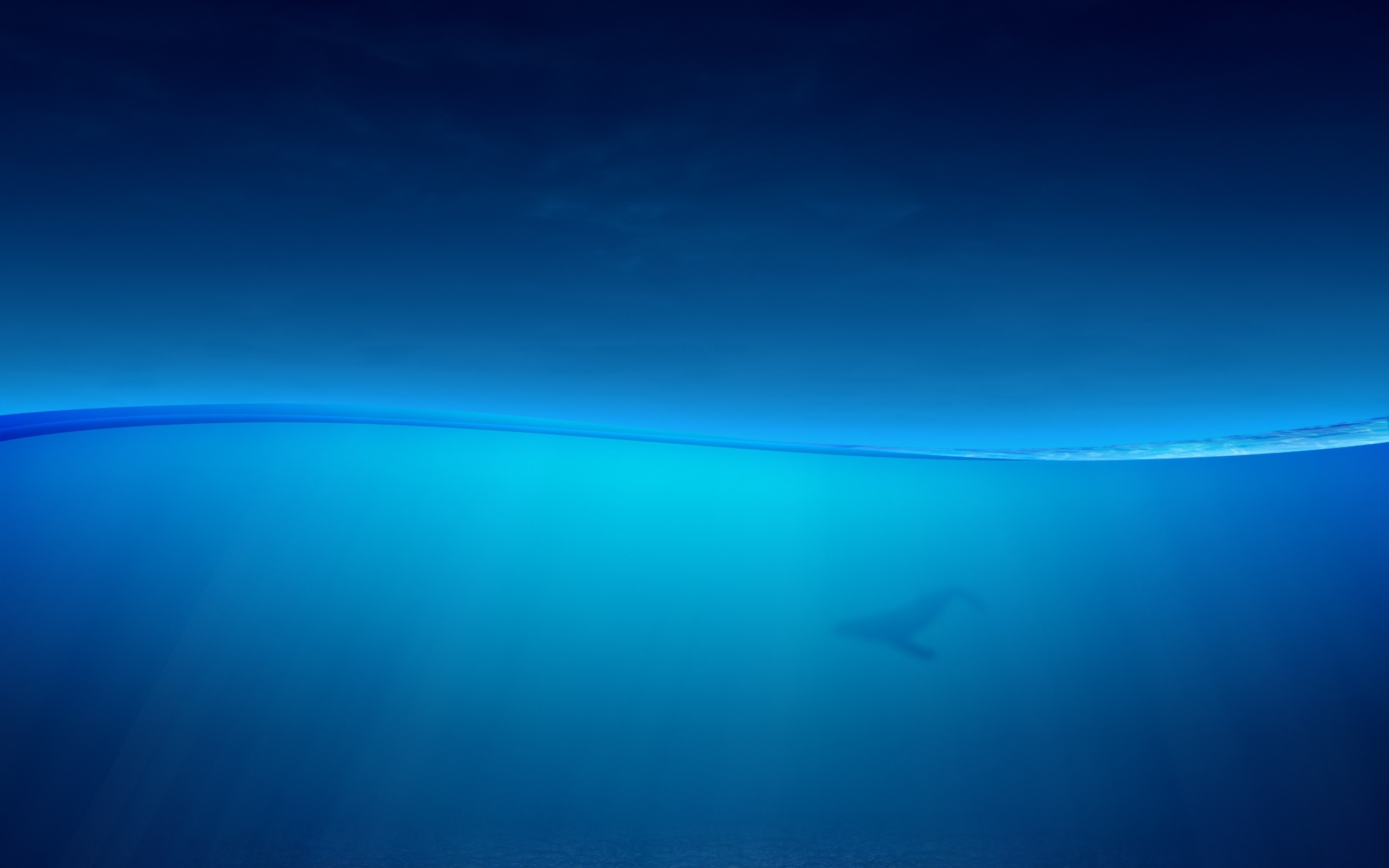 2560x1600 Blue Whale