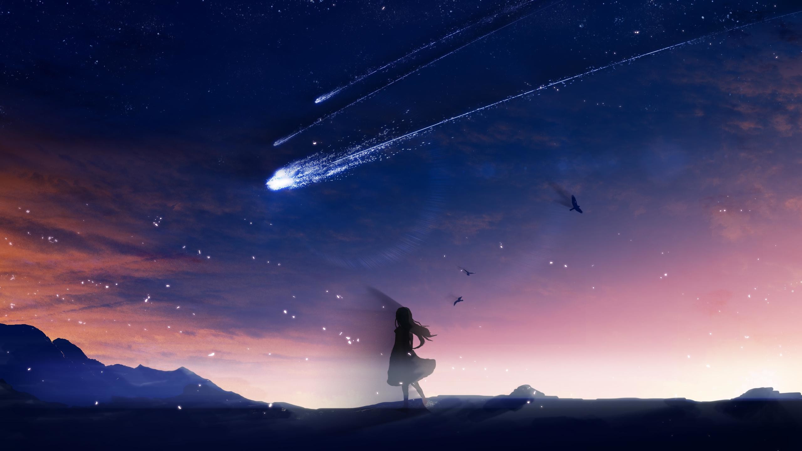 2560x1440  Download  Anime Landscape, River, Night, Stars,  Reflection .