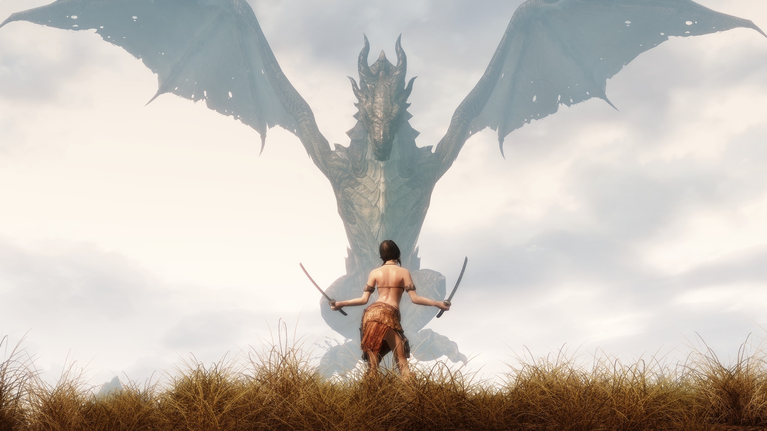 2560x1440 Wallpaper The Elder Scrolls V: Skyrim girl and dragon