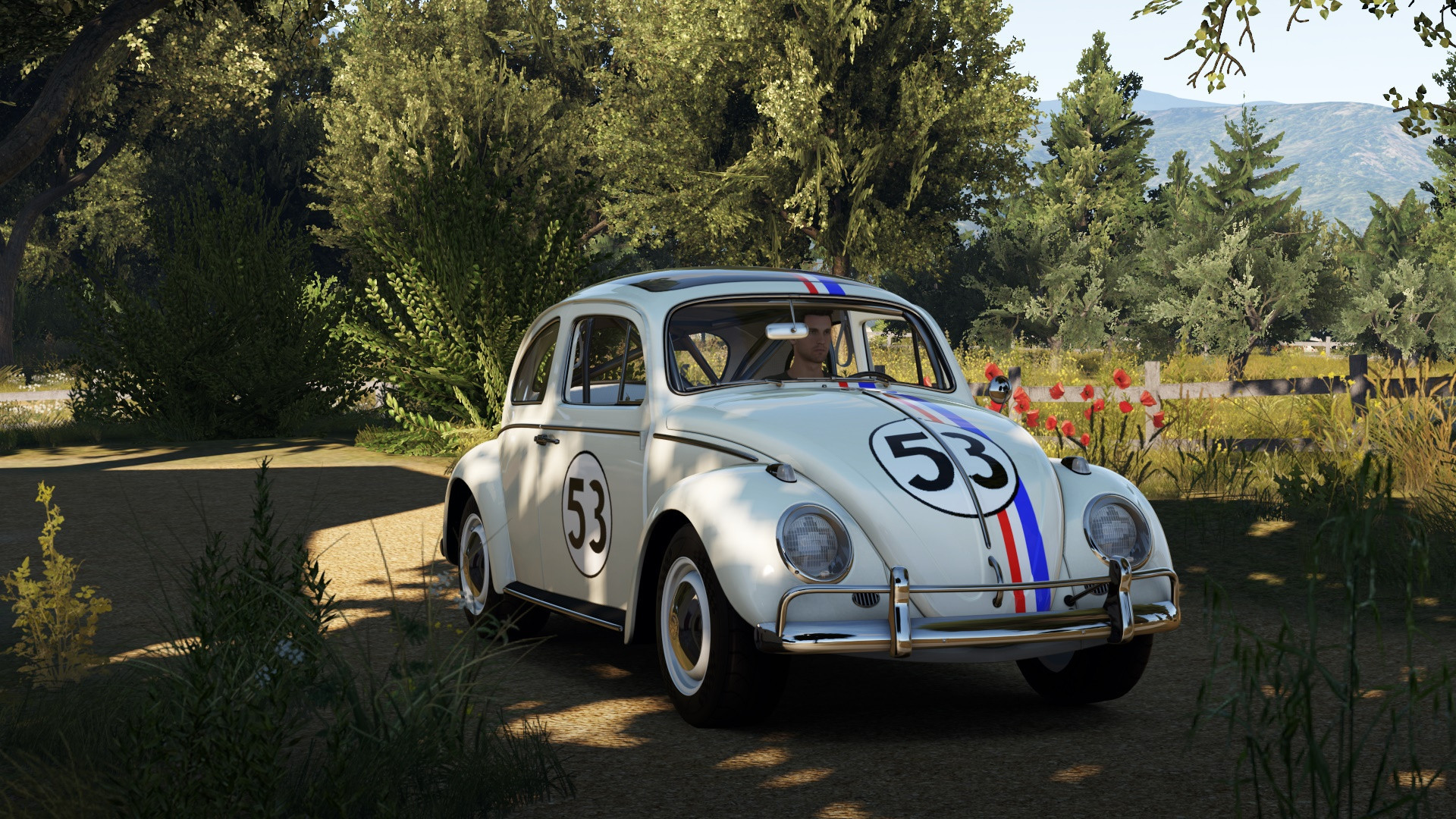 1920x1080 Herbie