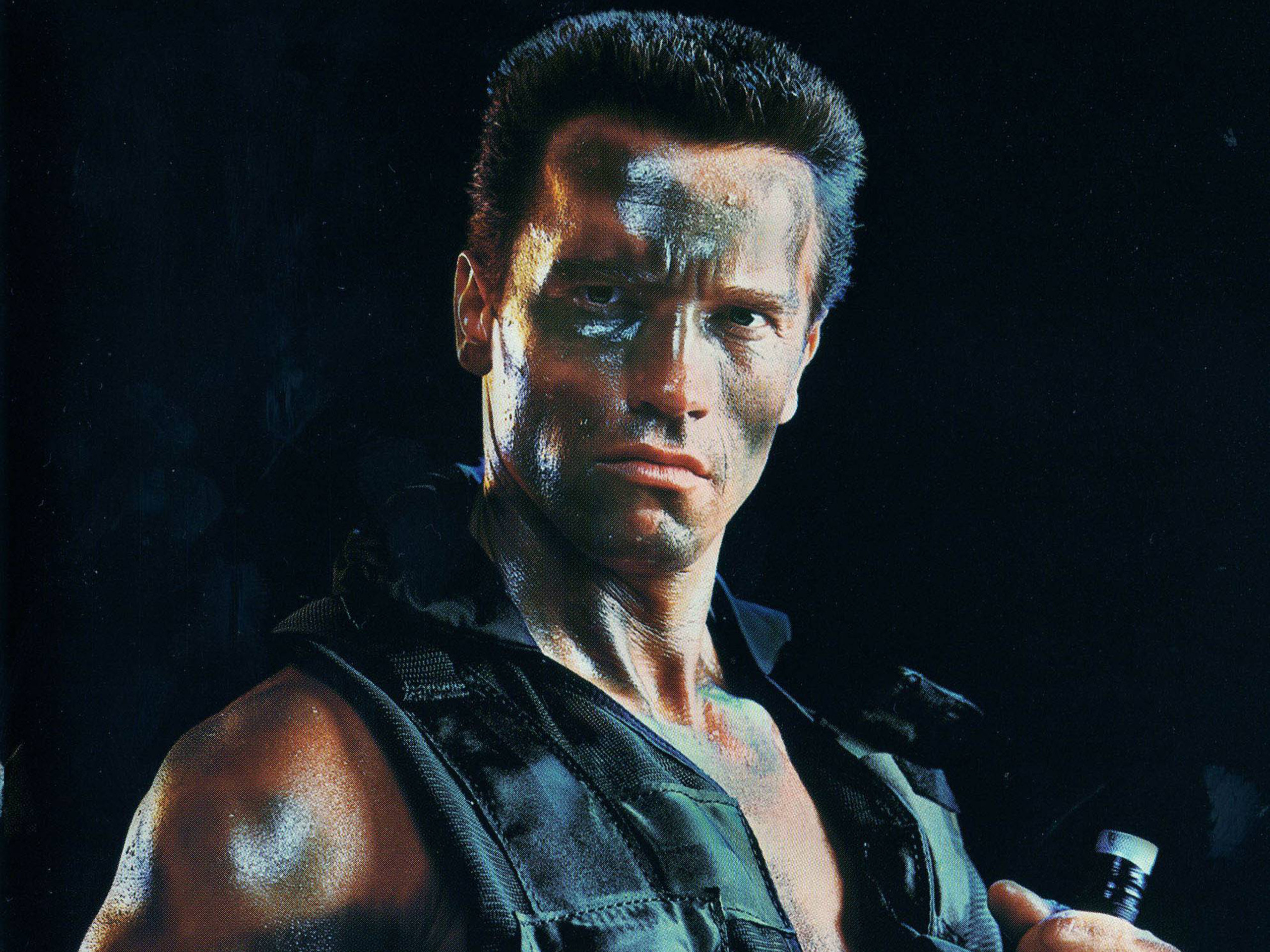 2560x1920 Arnold Schwarzenegger