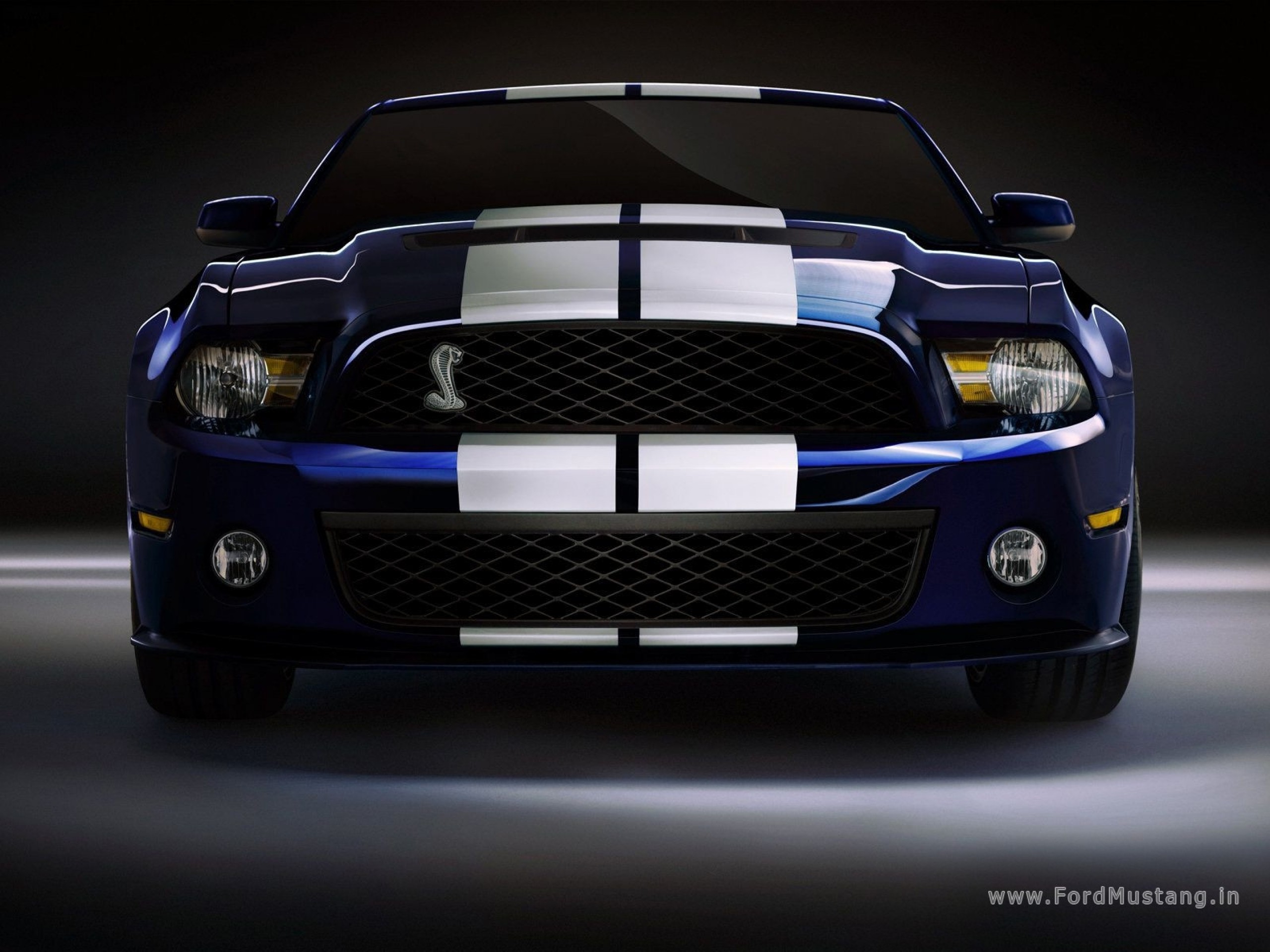 2560x1920 Ford Mustang Shelby GT500 Wallpaper HD 4 - 2560 X 1920
