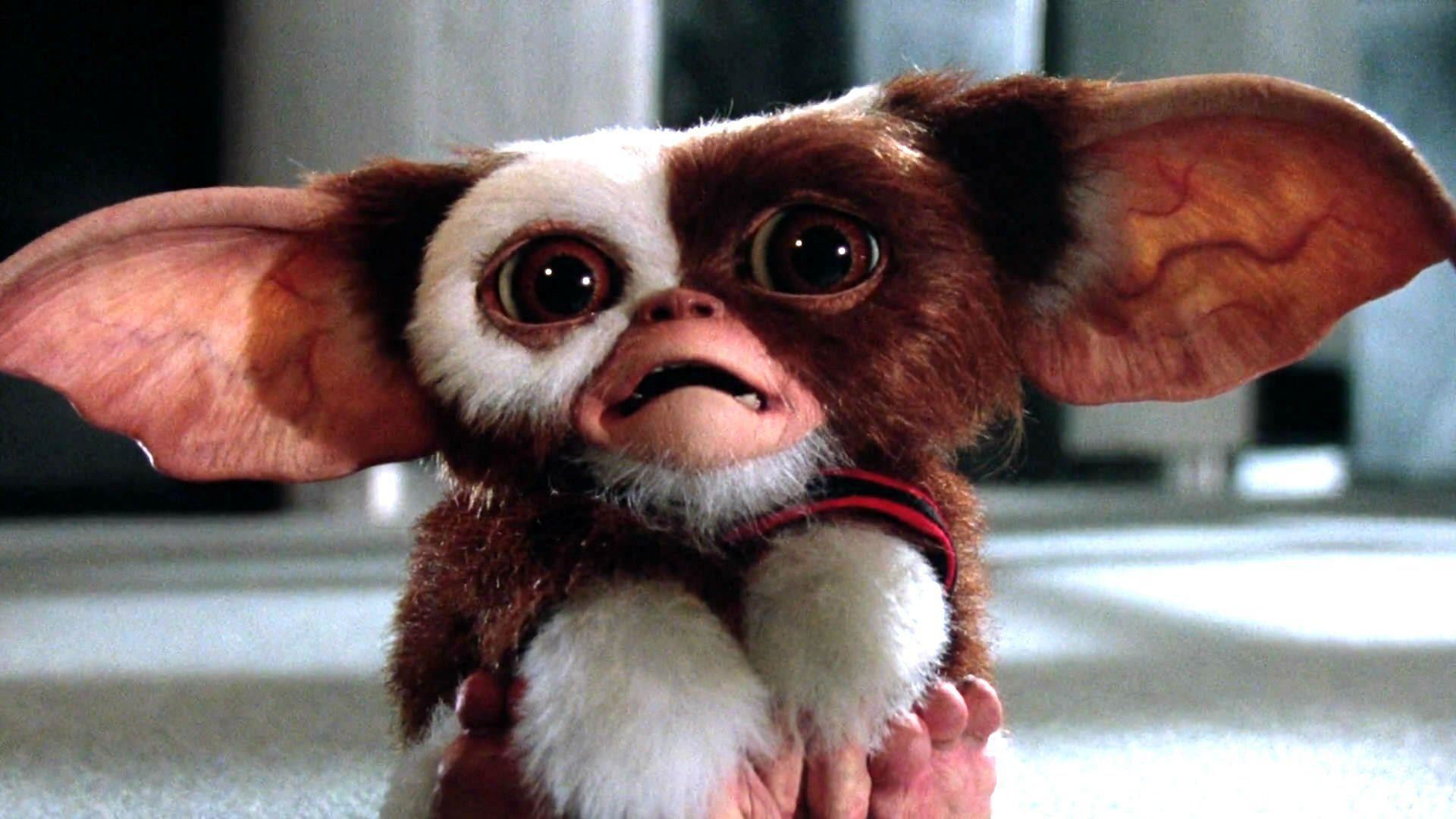 Gremlins HD Wallpaper