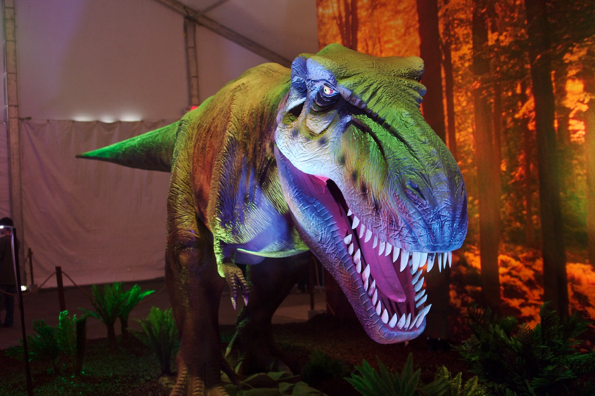 1920x1280 T-Rex Dinosaur wallpaper - Click picture for high resolution HD wallpaper